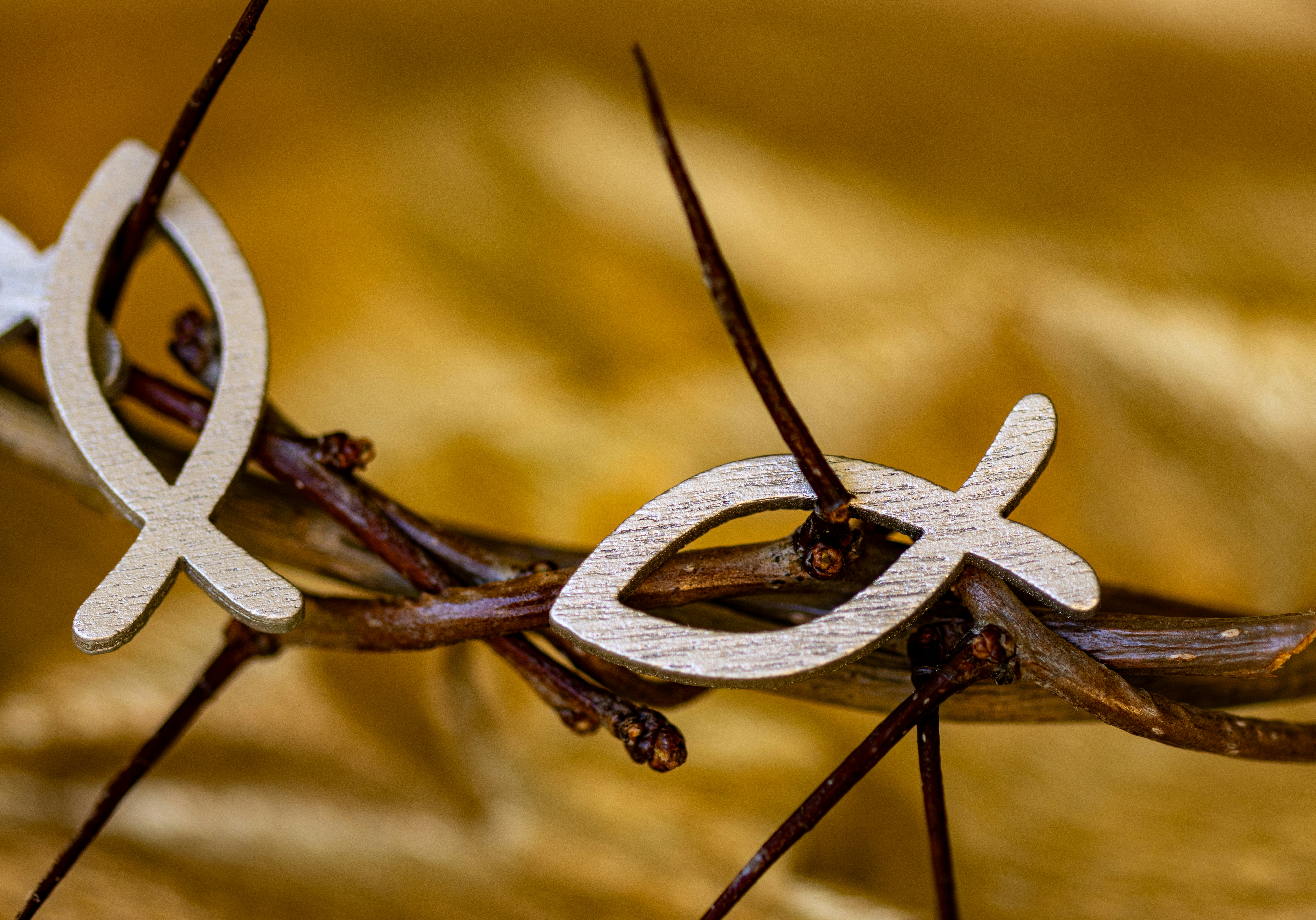 Un primer plano de un alambre de púas con un símbolo