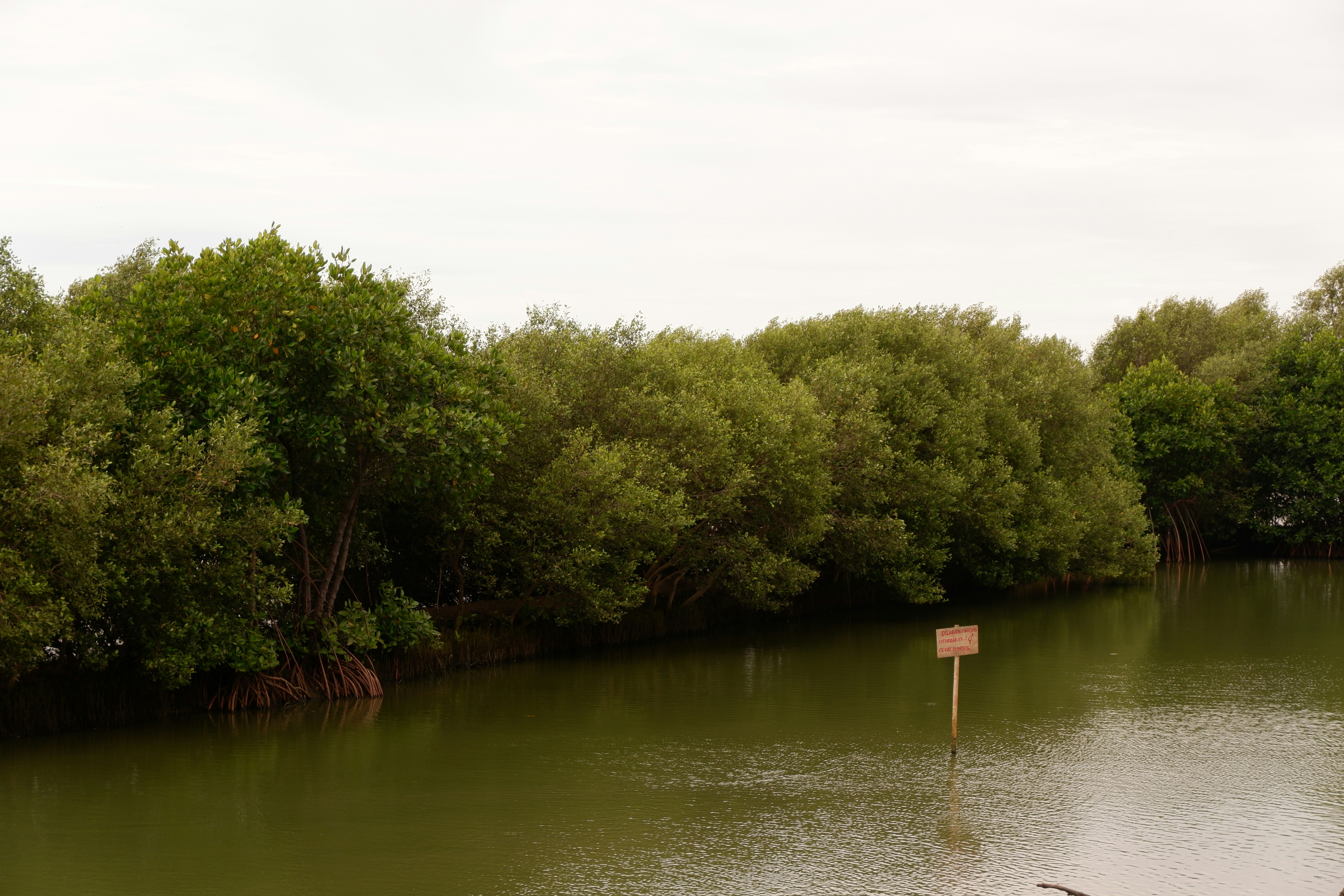 Photo by jepretualang