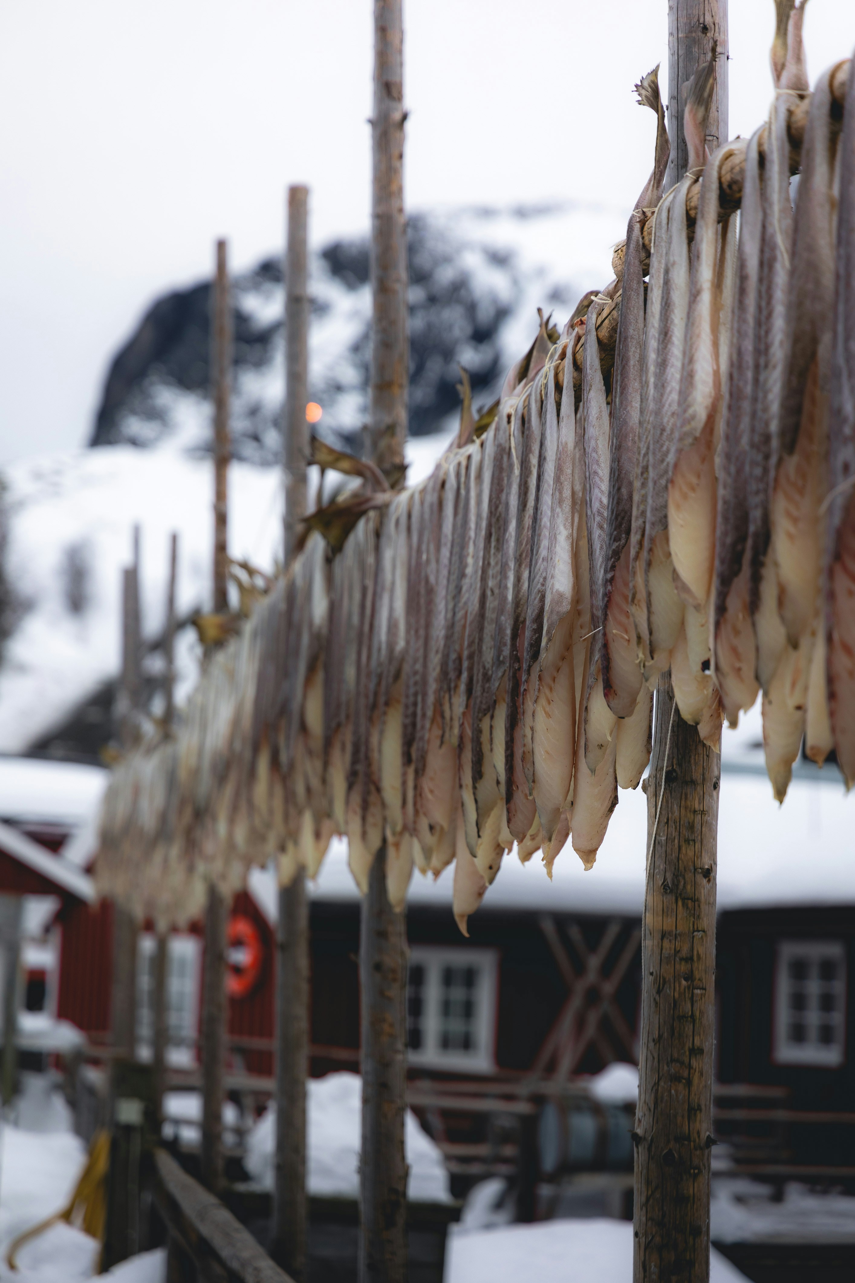 Traditional Preservation Methods and Ancient Foods