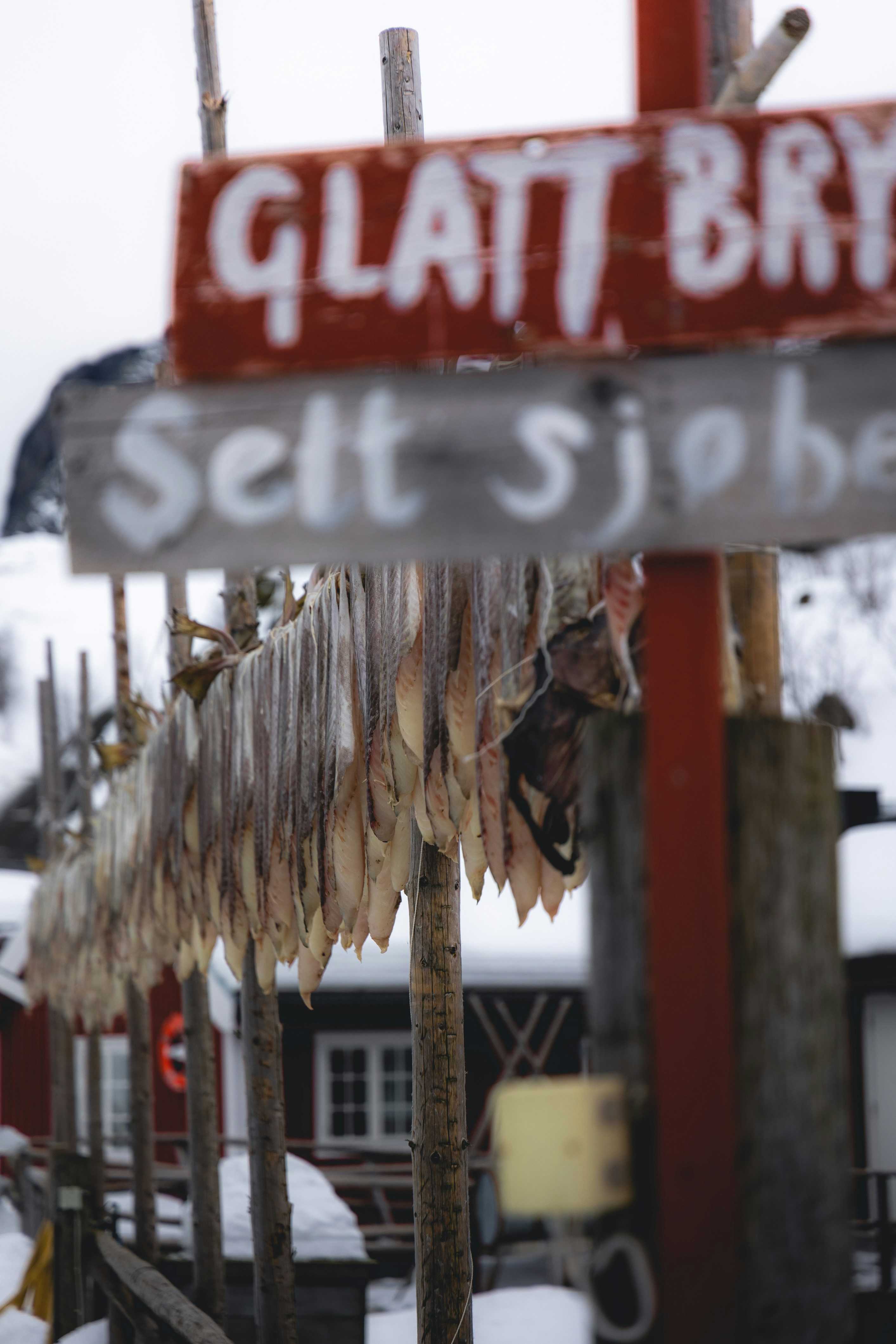 Seasonal Eating and Nature's Influence on Icelandic Tables