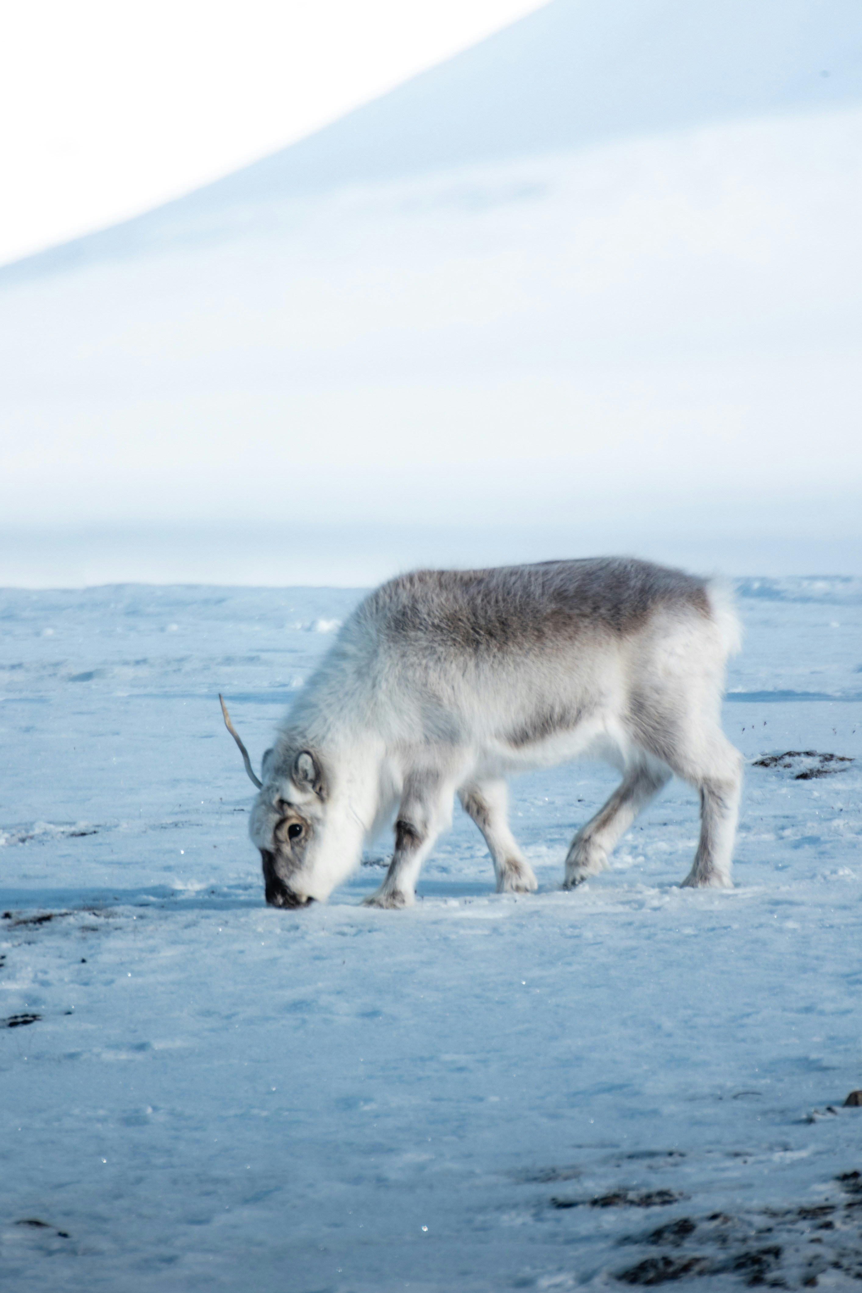 Communication and Social Structures (image credits: unsplash)