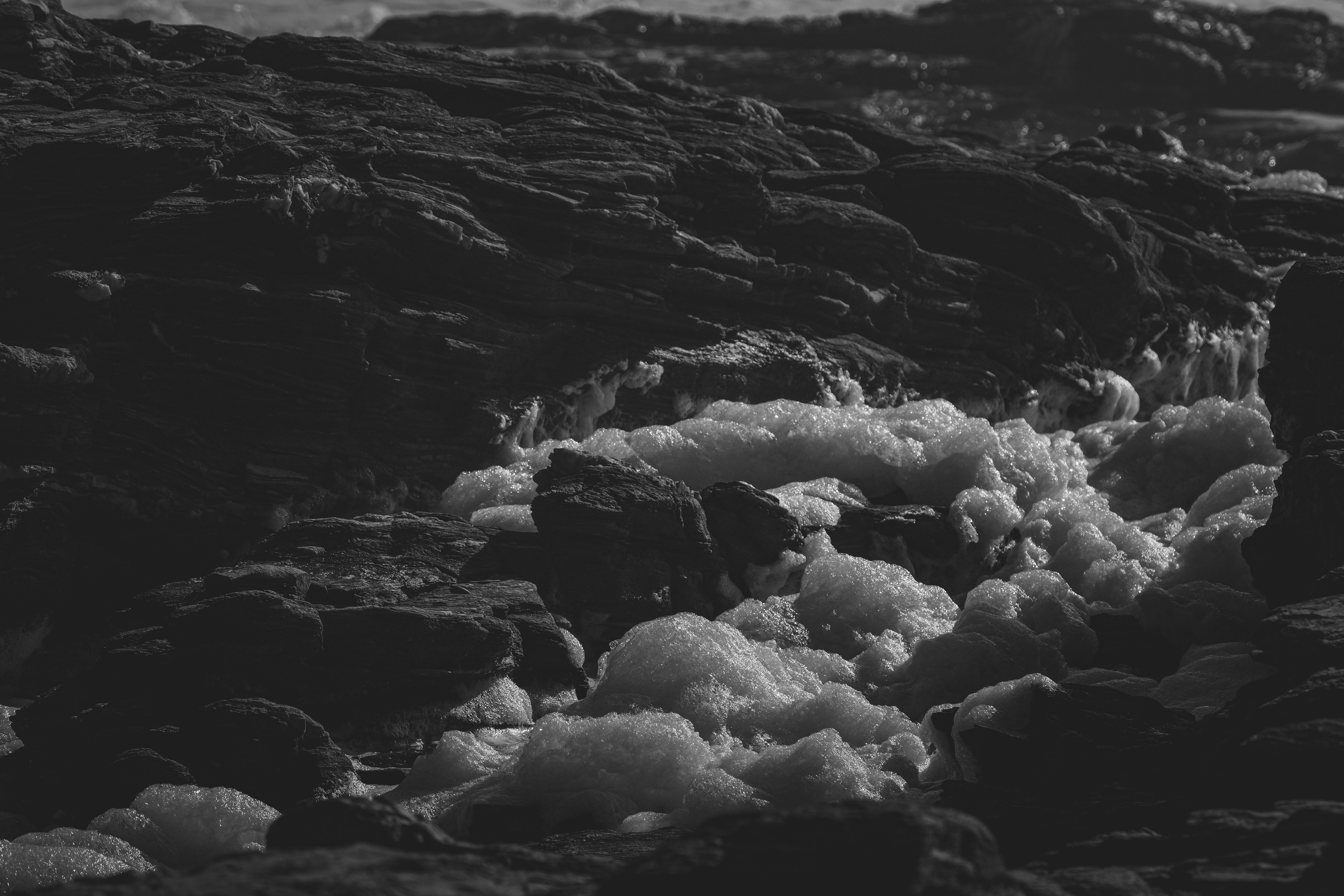 Photo by francesco_ungaro