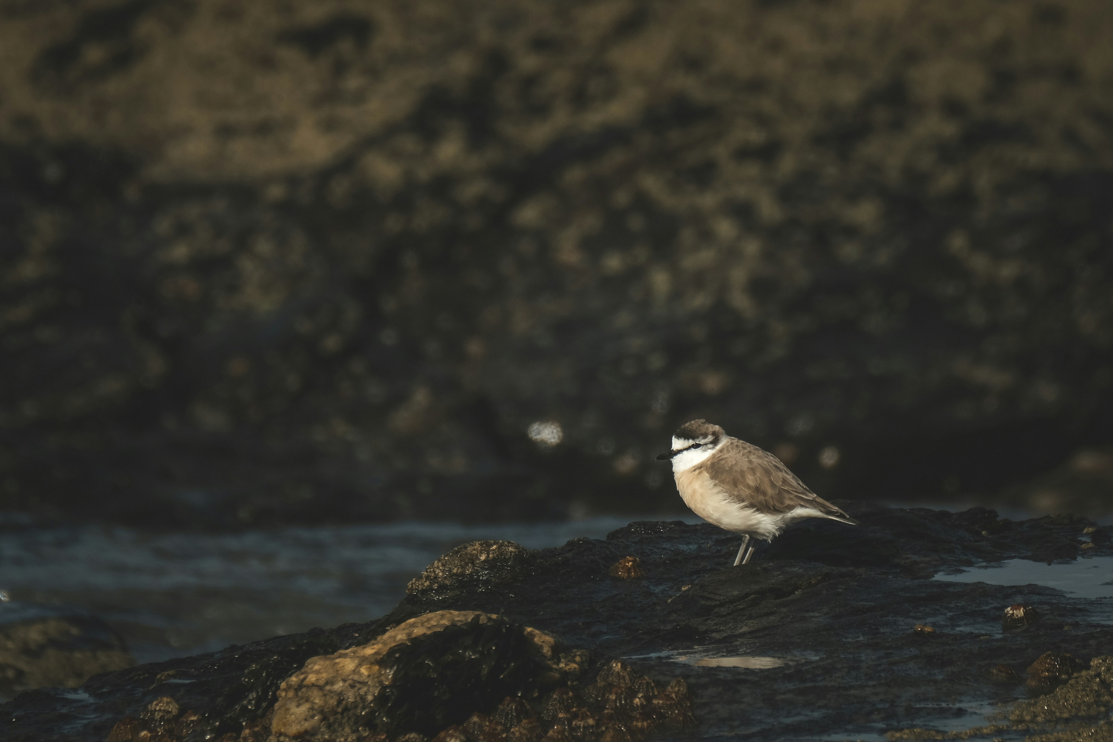 Photo by francesco_ungaro