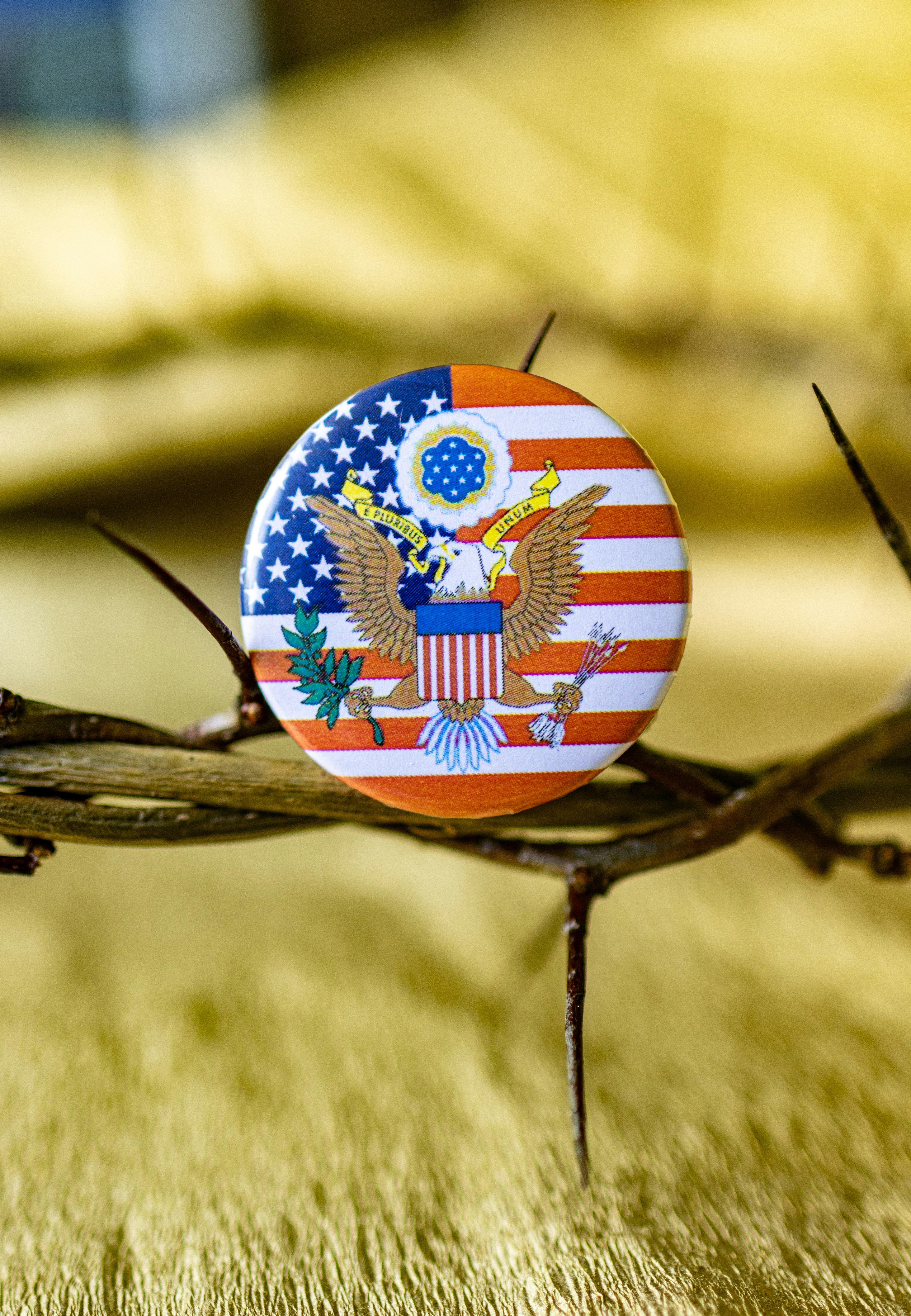 Una corona de alambre de púas con una imagen de los Estados Unidos en ella