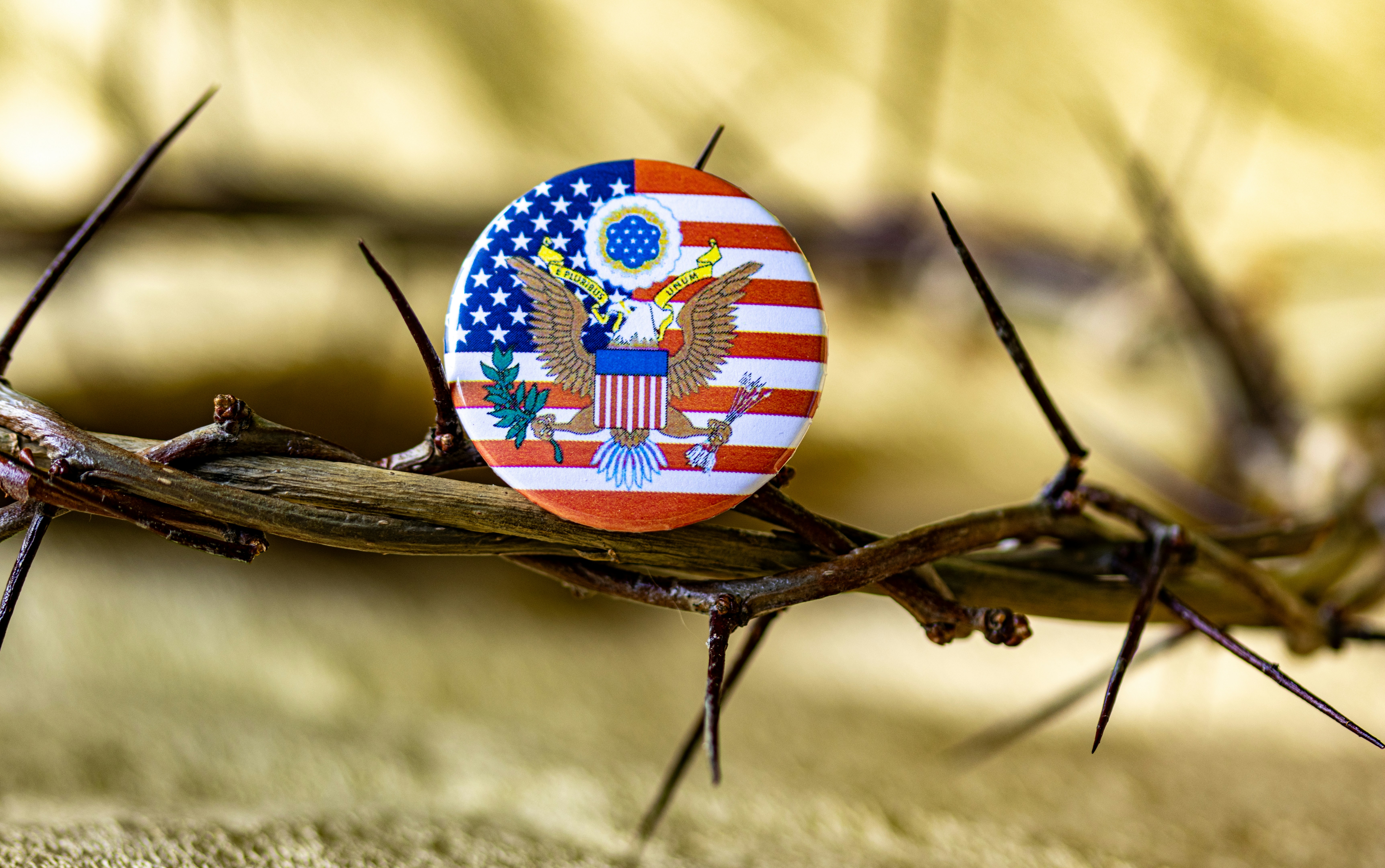 A close up of a crown of thorns with a button on it