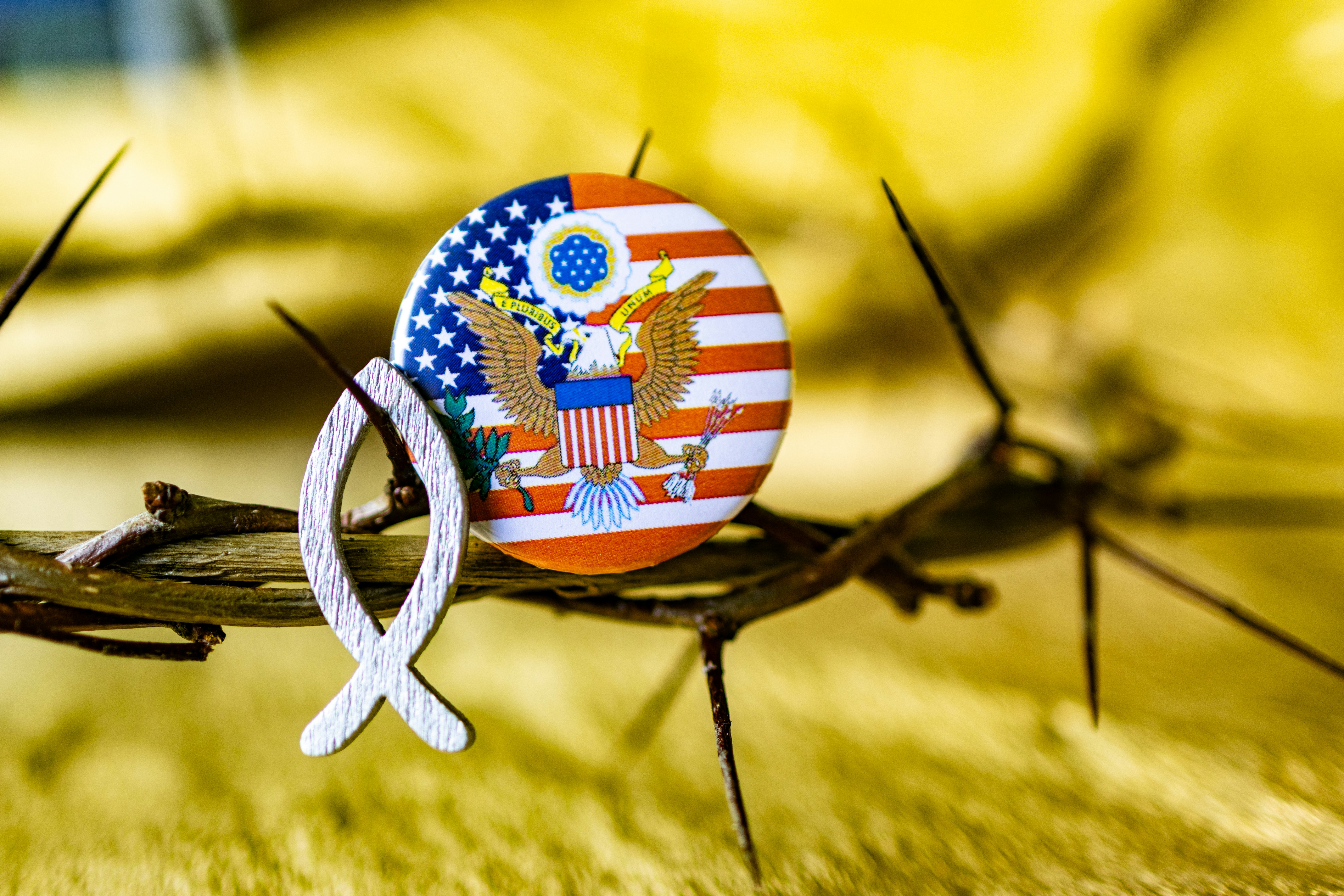 A close up of a crown of thorns with an american flag pin on it