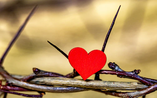 A red heart sitting on top of a barbed wire