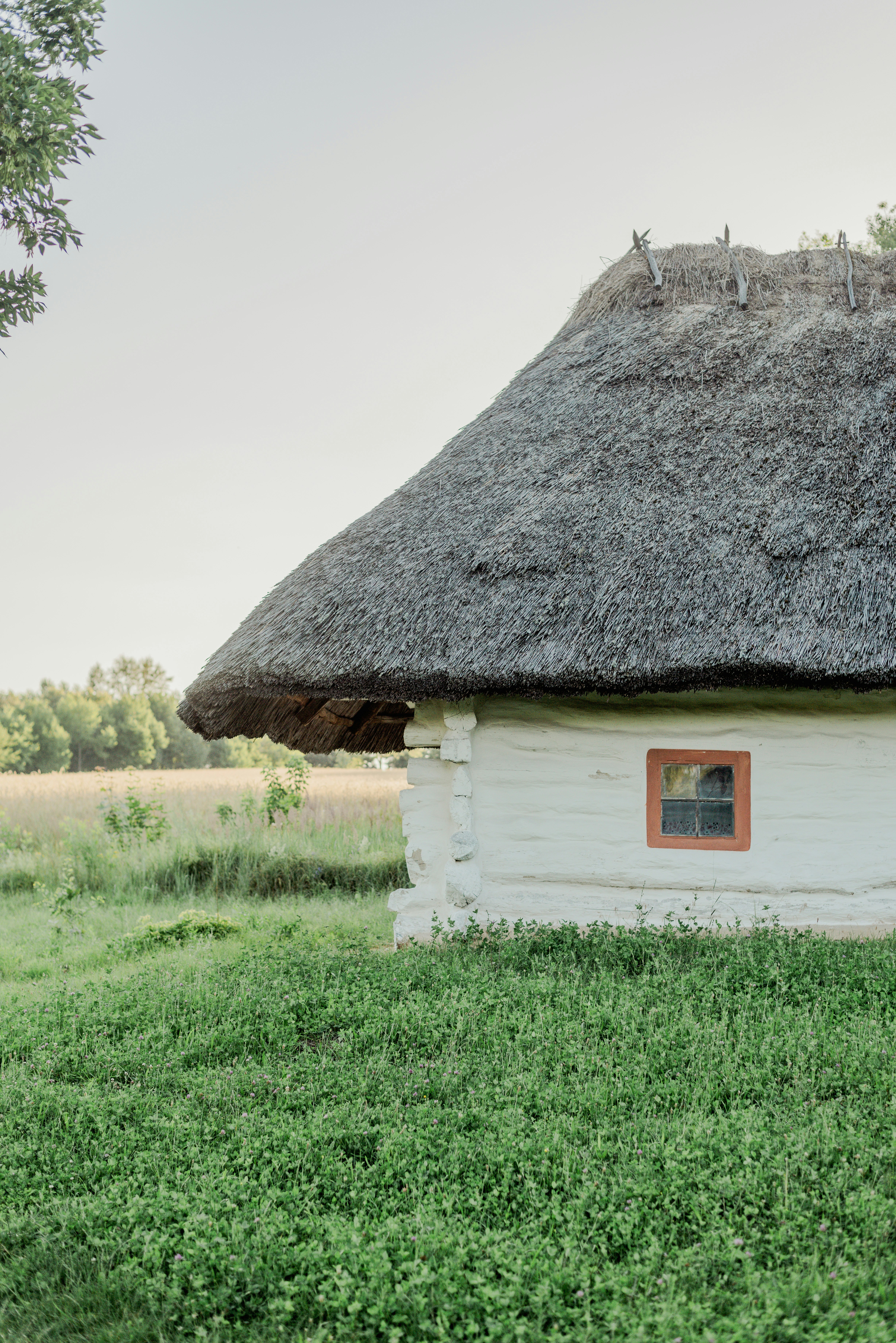 Photo by eugenivy_now