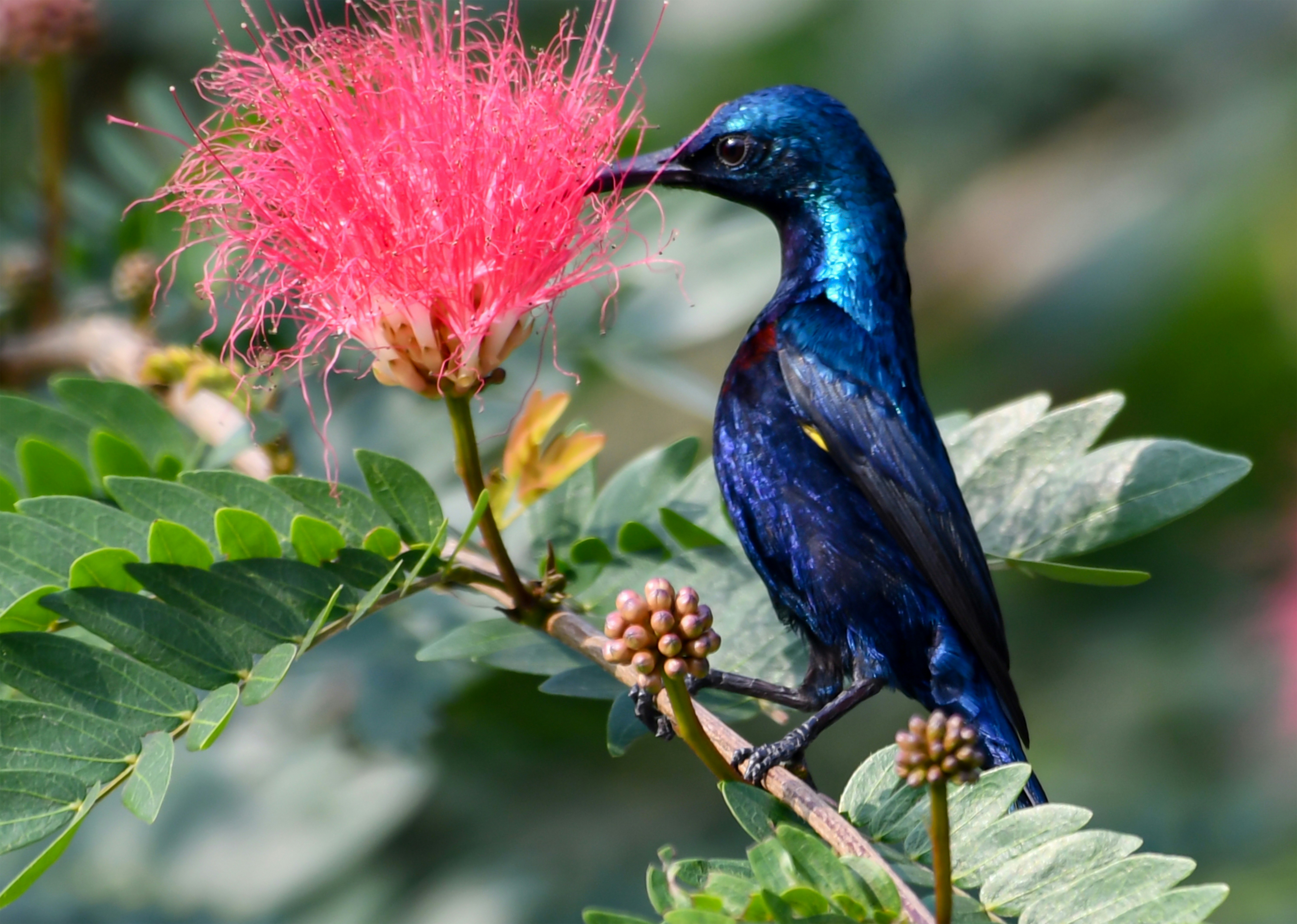 Photo by mhphotography13