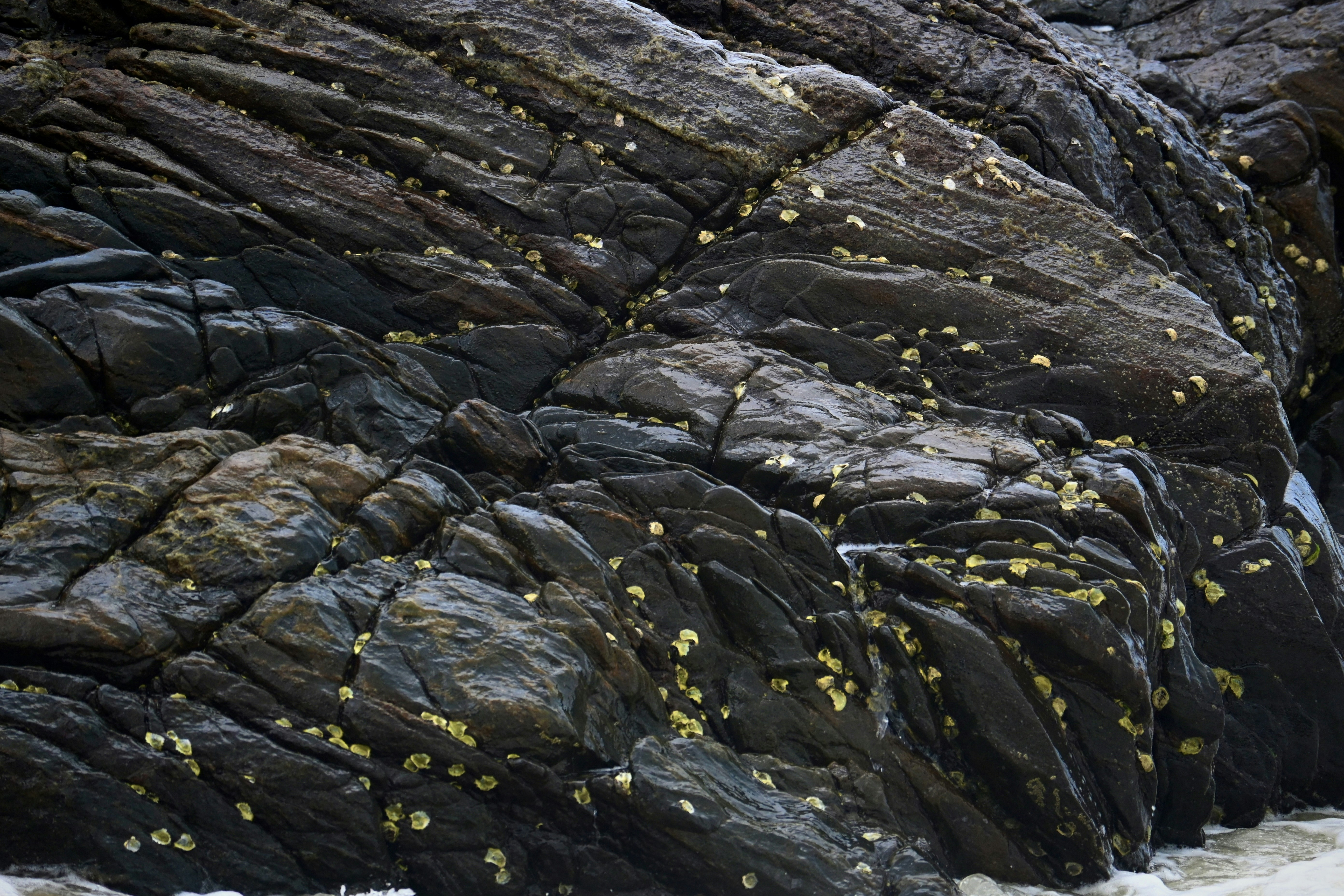 Photo by praswinprakashan