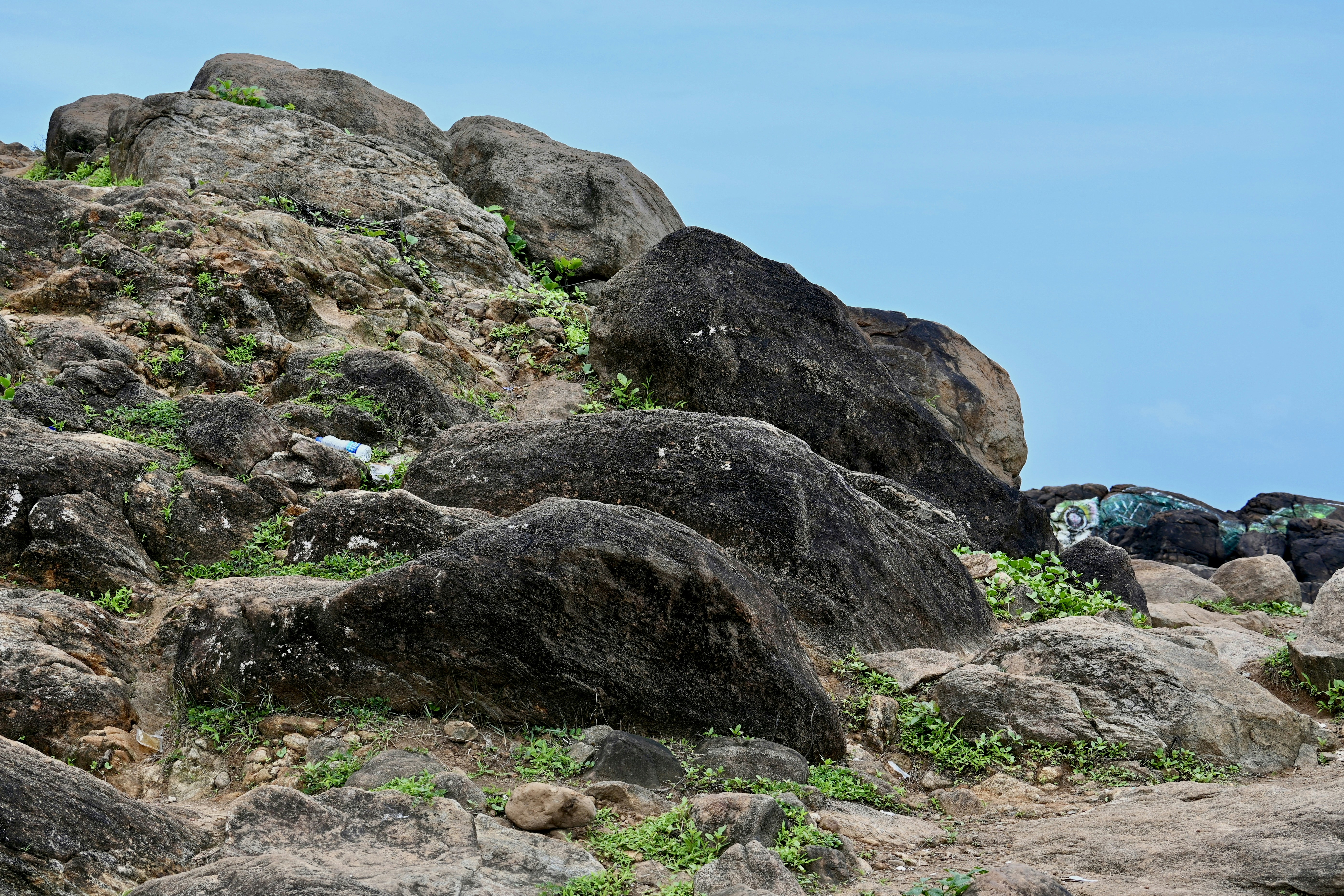 Photo by praswinprakashan