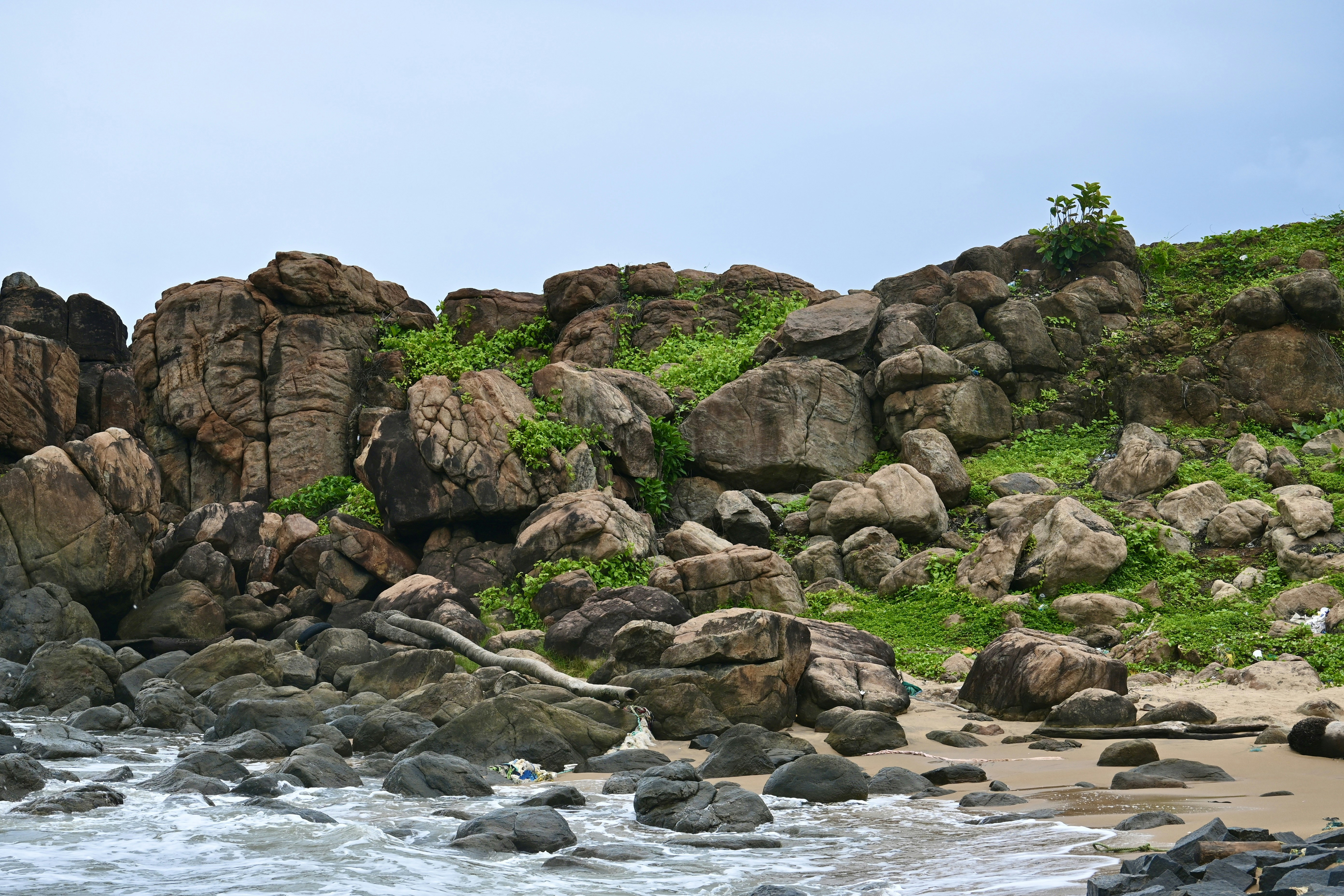 Una spiaggia con rocce ed erba sulla riva