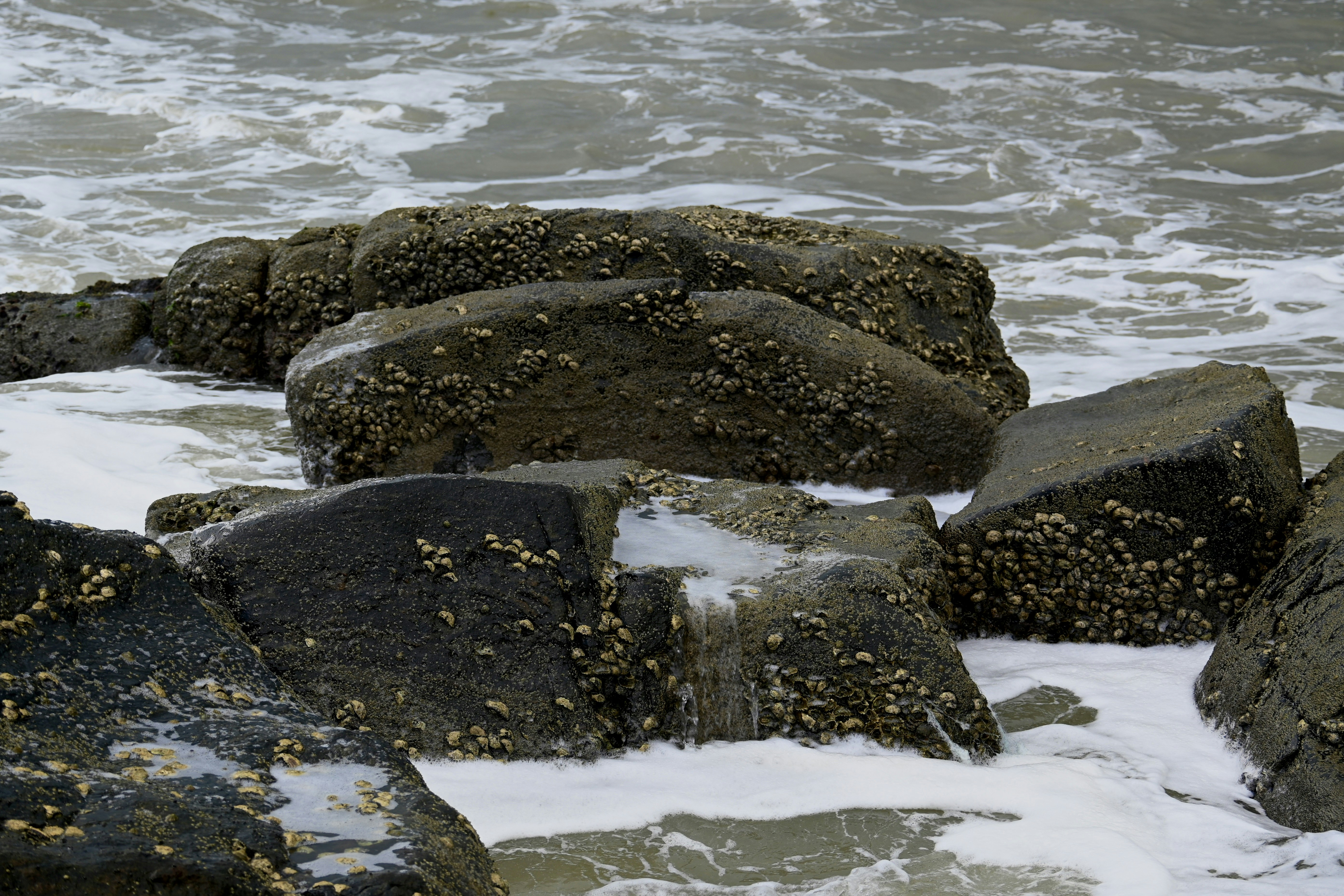 Photo by praswinprakashan