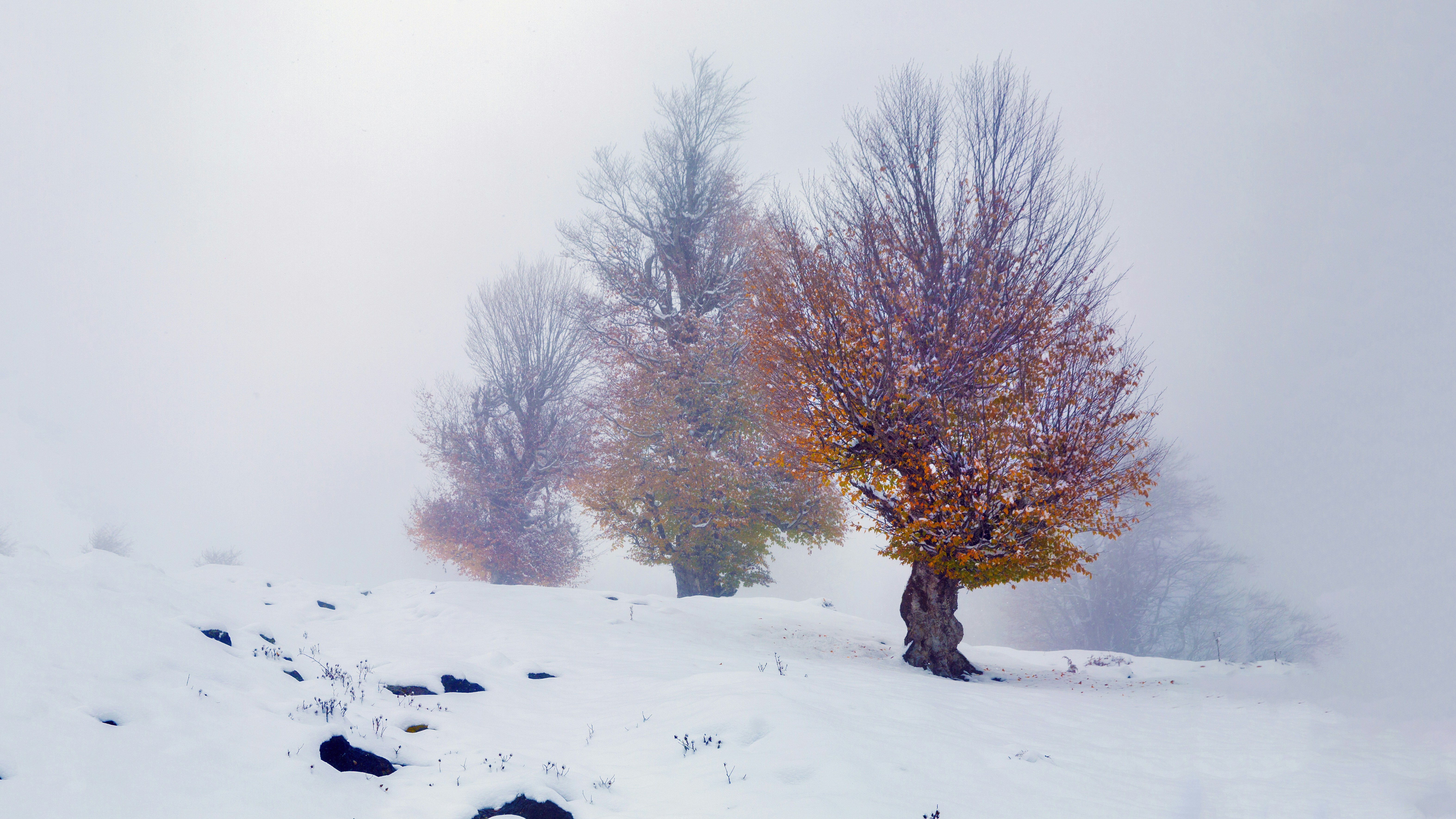 How Oligoclonal Bands Testing Can Help MS Care