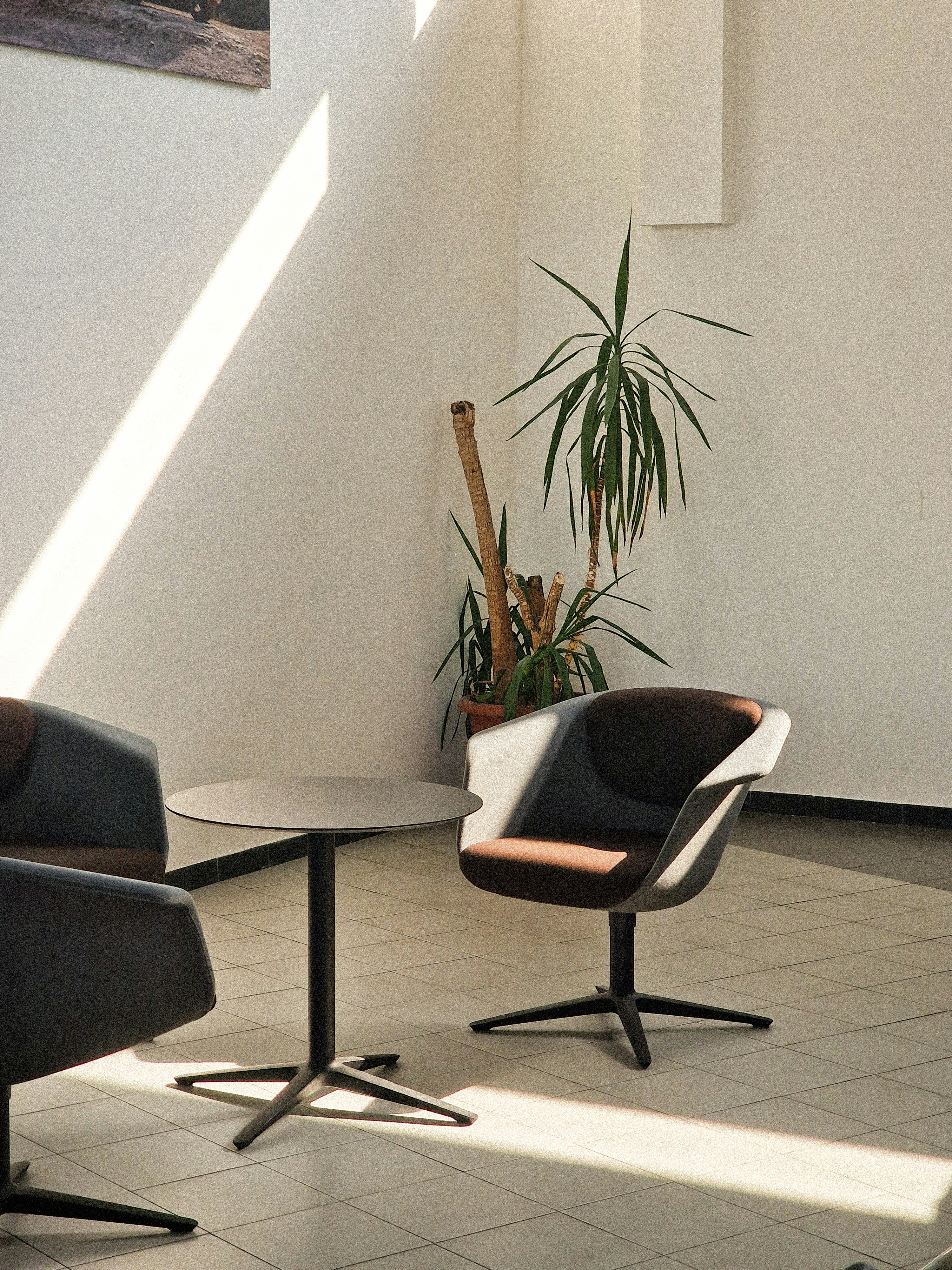 Photo by blankosphere