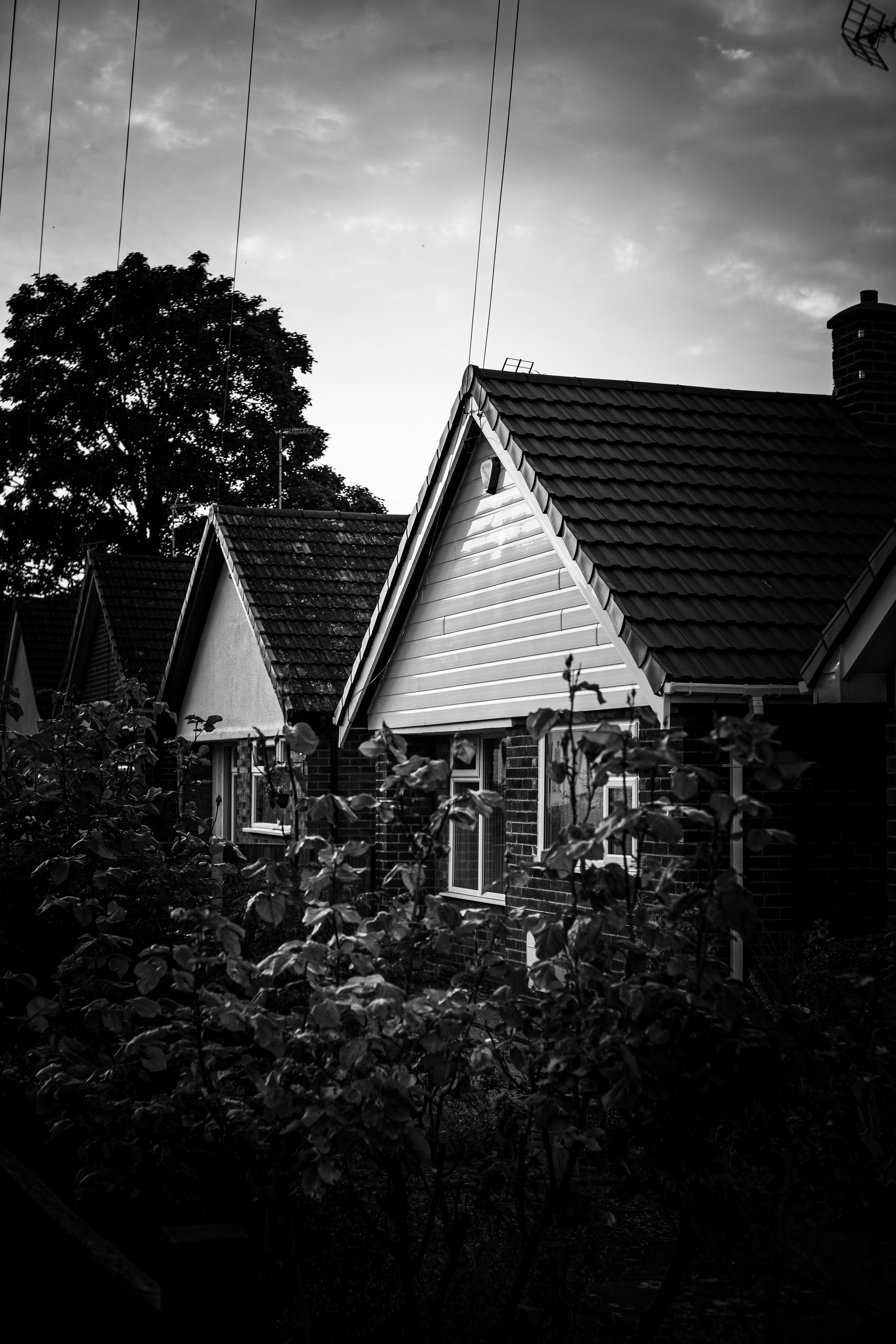 photo-1719221753813-2288e474464e?ixid=M3wxMjA3fDB8MXxzZWFyY2h8Mnx8ZWxpdGUlMjBjb3R0YWdlJTIwJUUyJTgwJTkzJTIwaG91c2luZyUyMG9mJTIwbm9ibGUlMjBibG9vZCUyMCVFMiU4MCU5MyUyMGdhcmRlbmhvdXNlMjR8ZW58MHx8fHwxNzYwMjkwNjU5fDA\u0026ixlib=rb-4.1.0