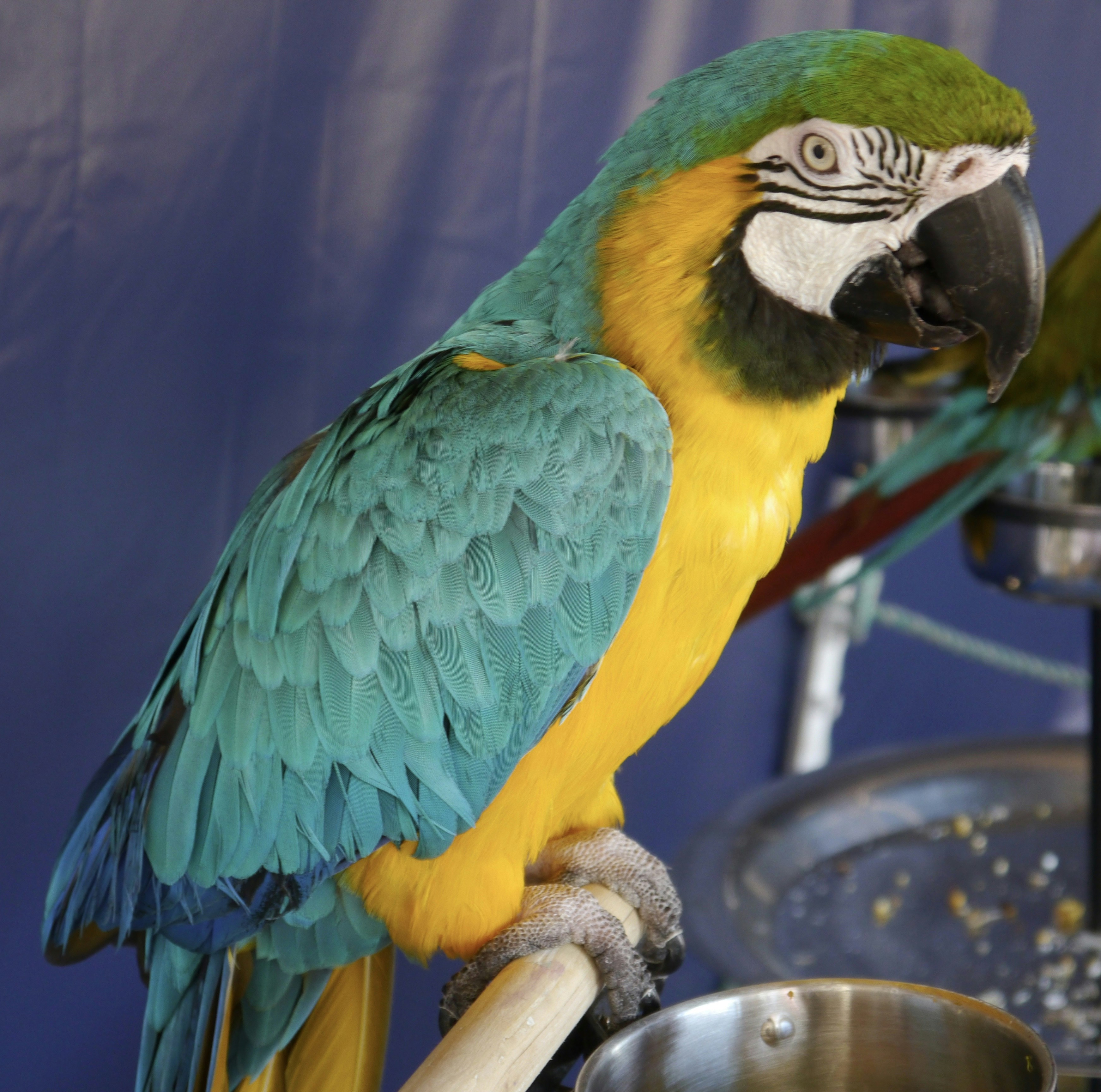 Photo by iqsphotography