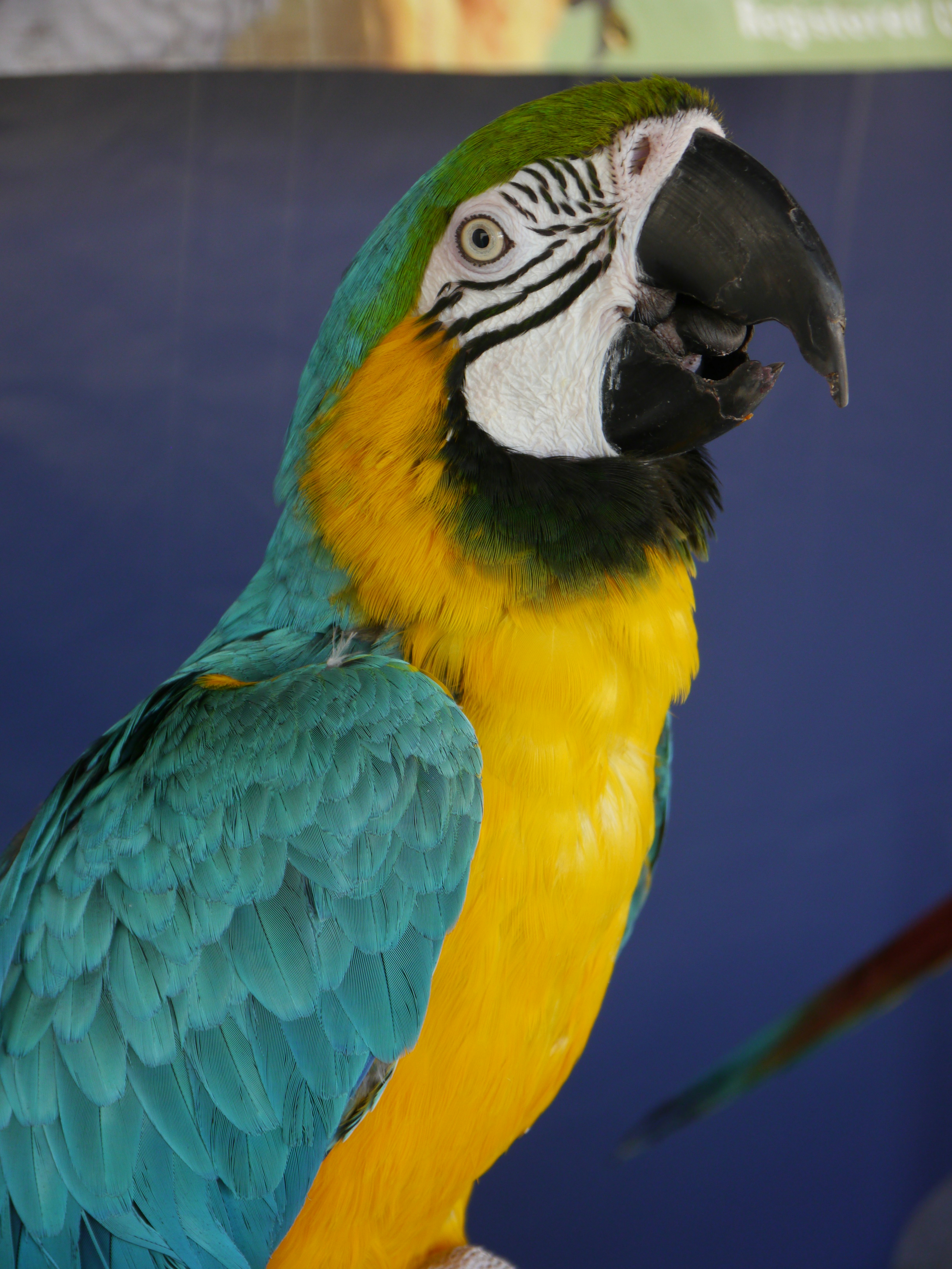 Photo by iqsphotography