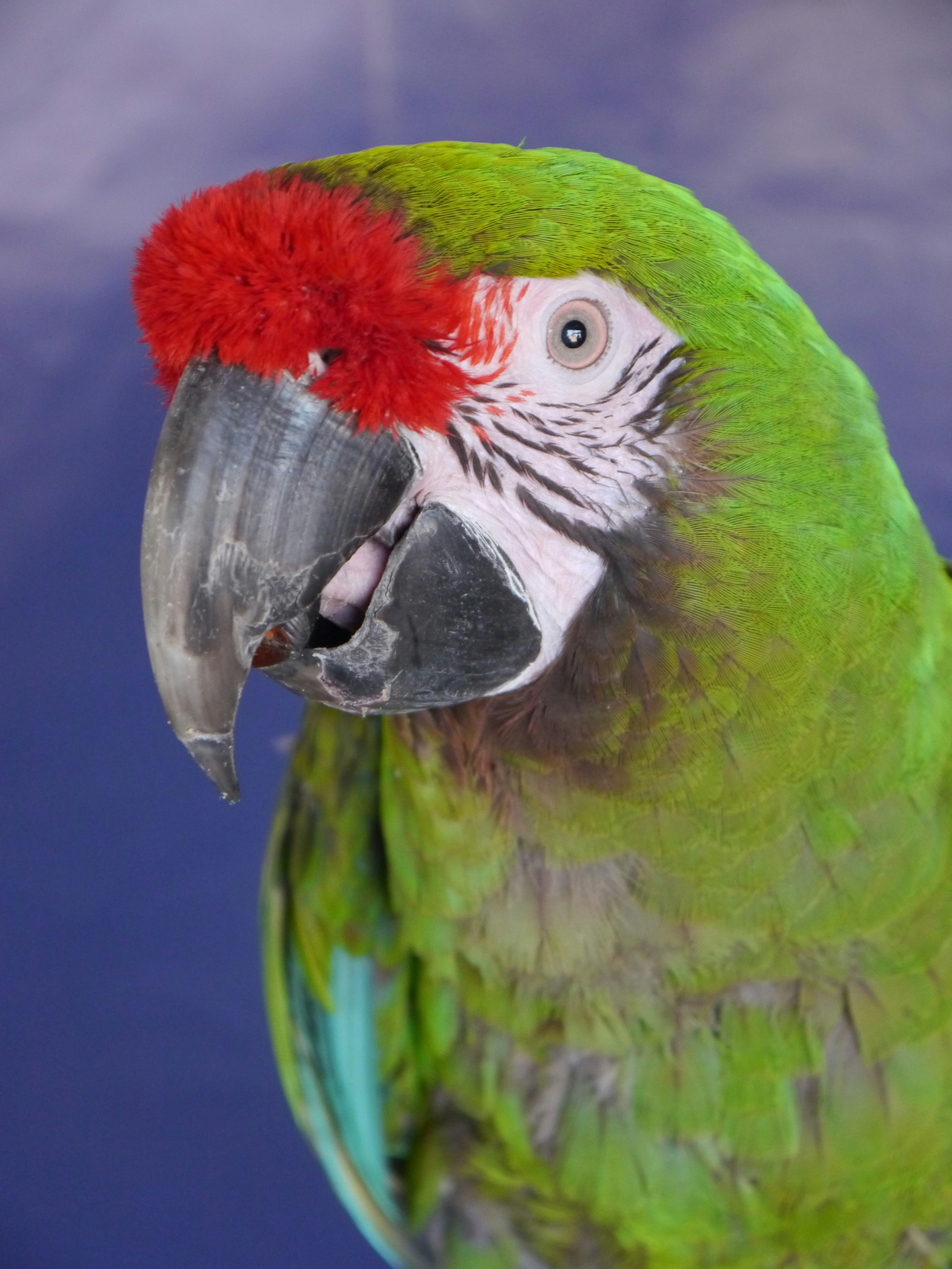 Photo by iqsphotography