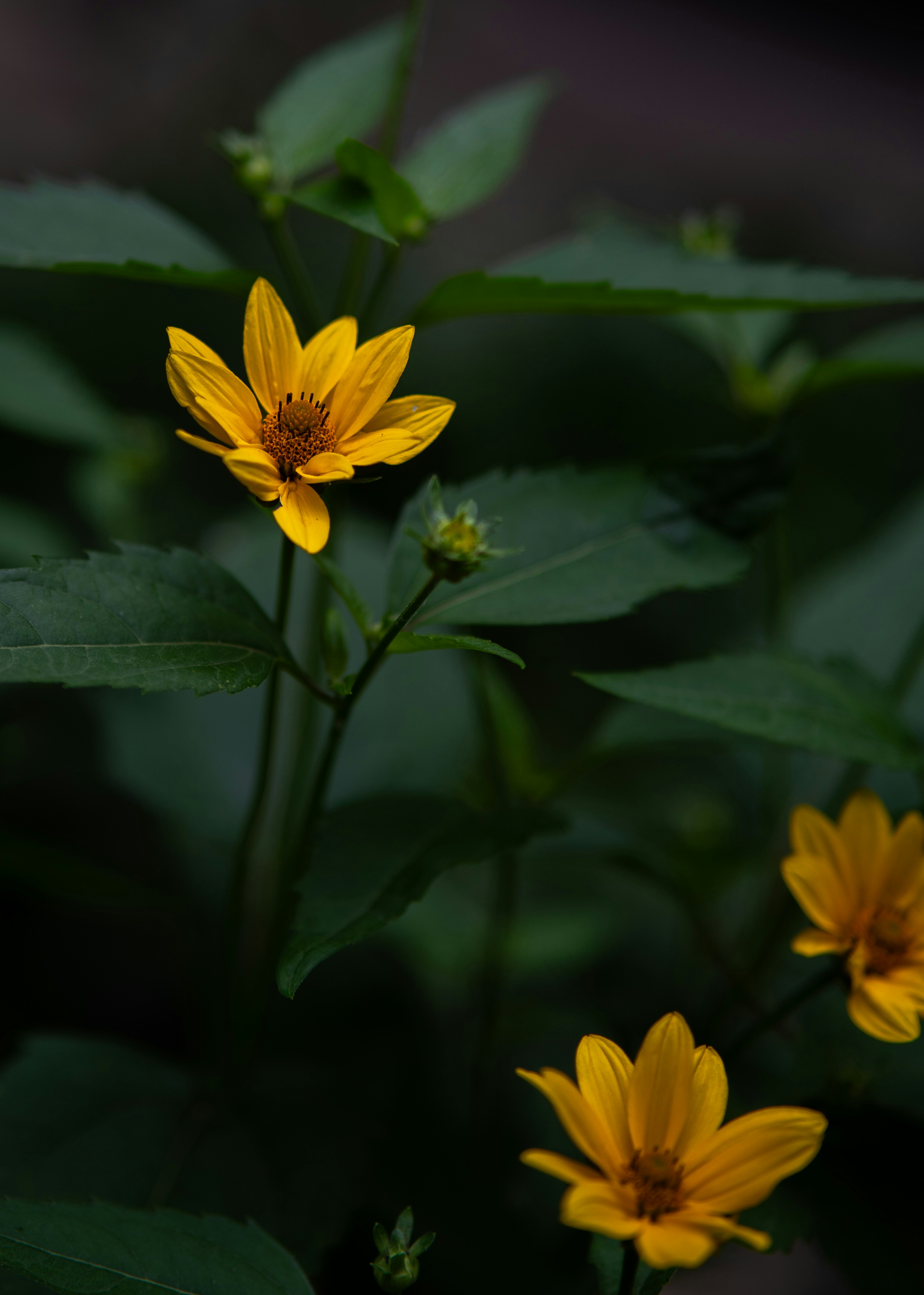 Photo by eugenechystiakov