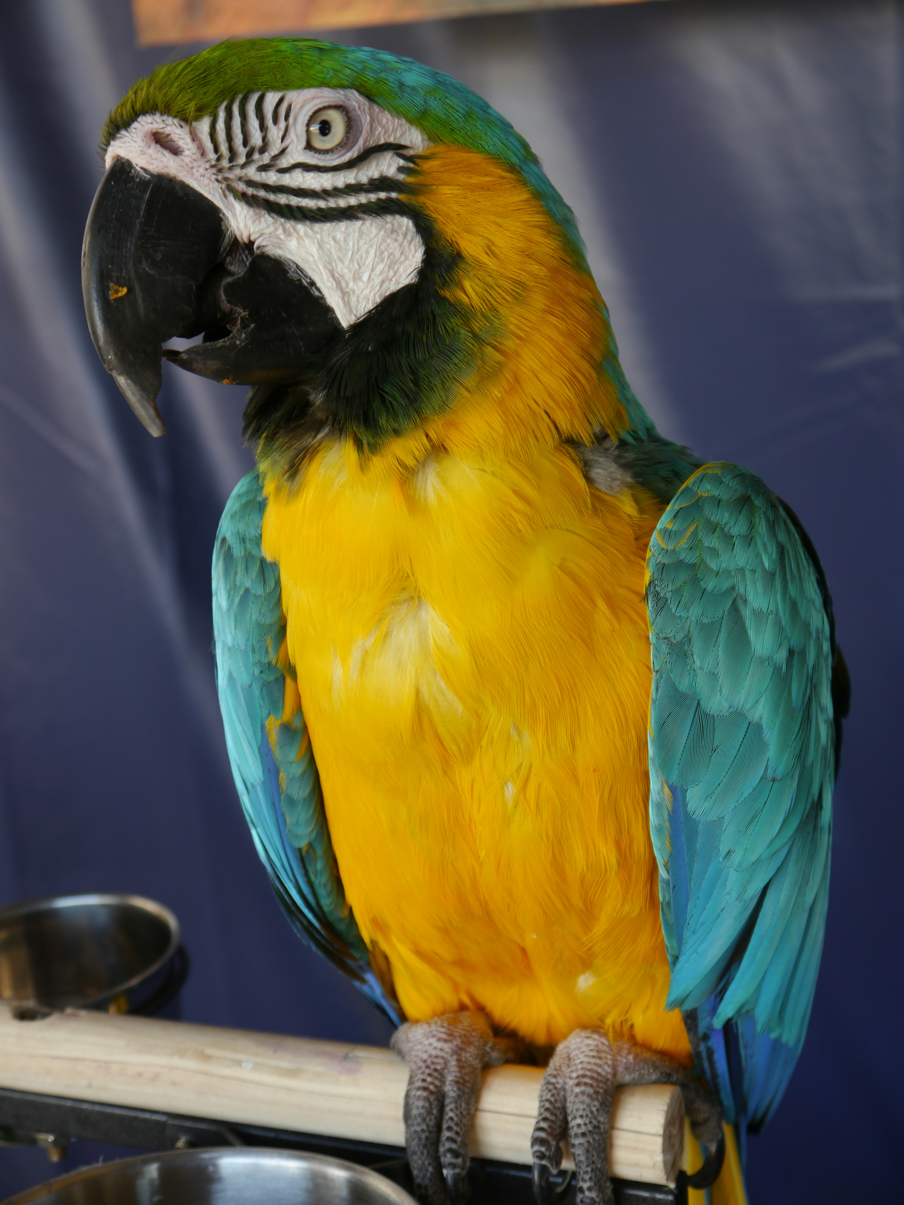 Photo by iqsphotography