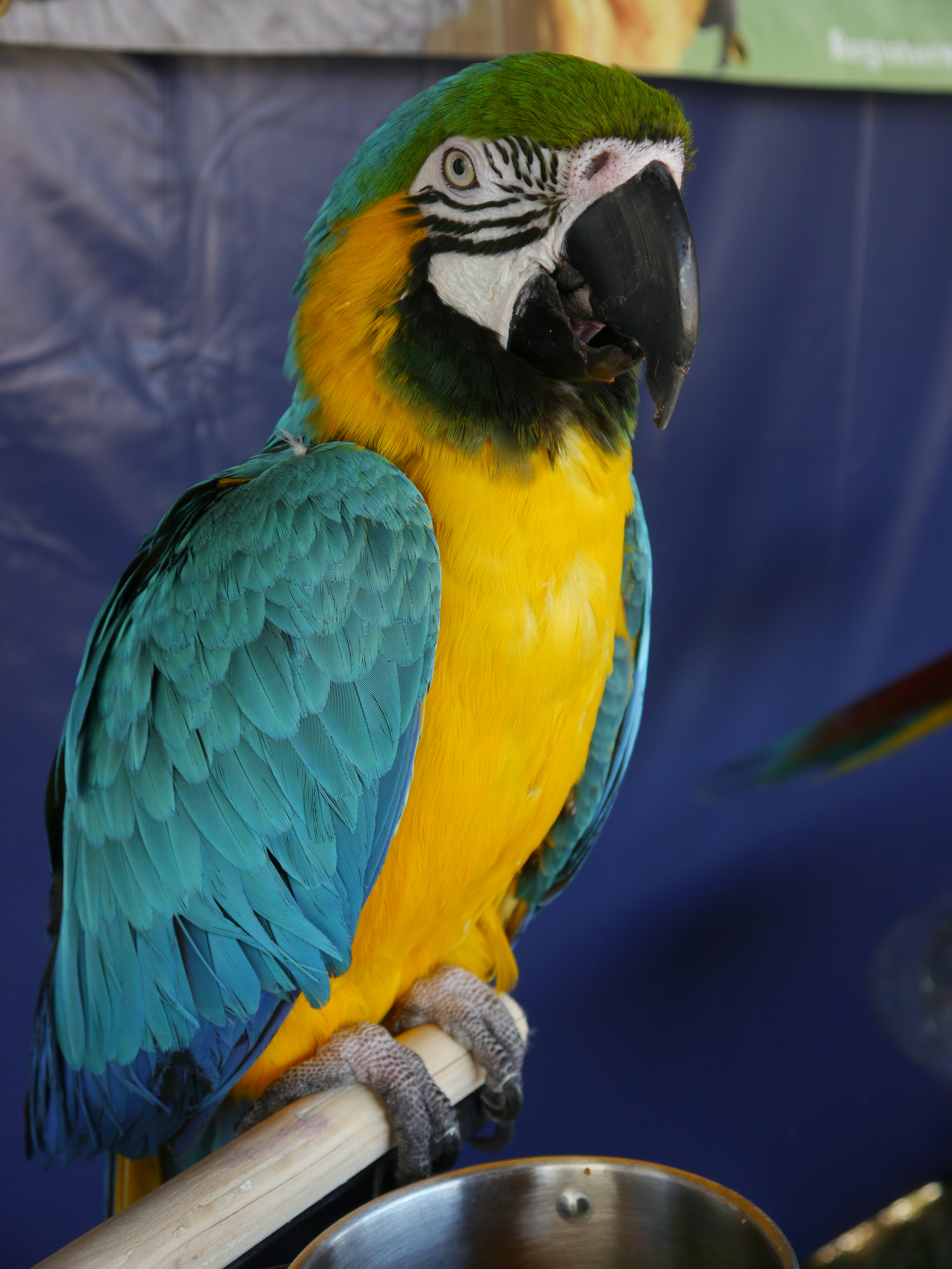 Photo by iqsphotography