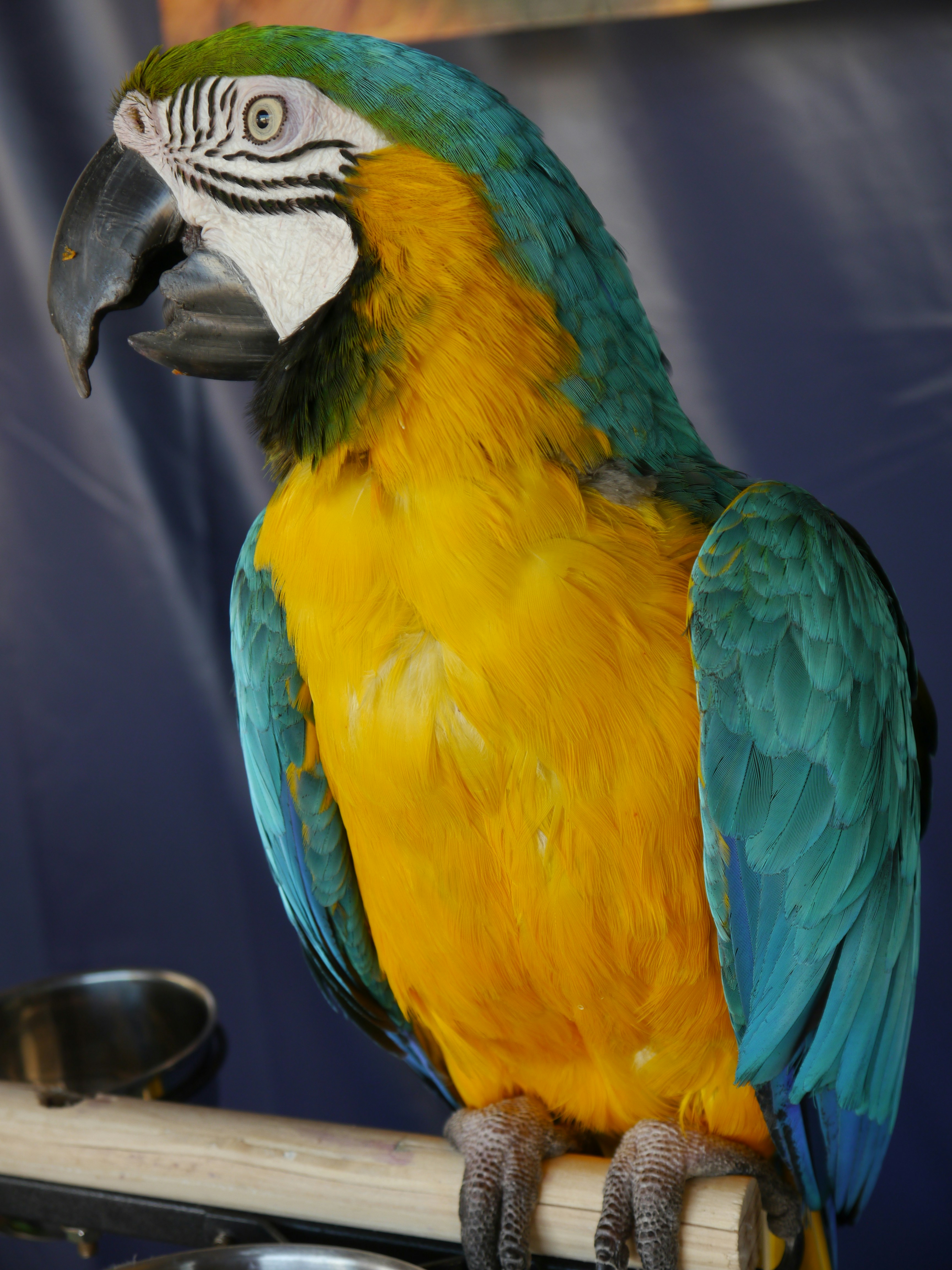 Photo by iqsphotography