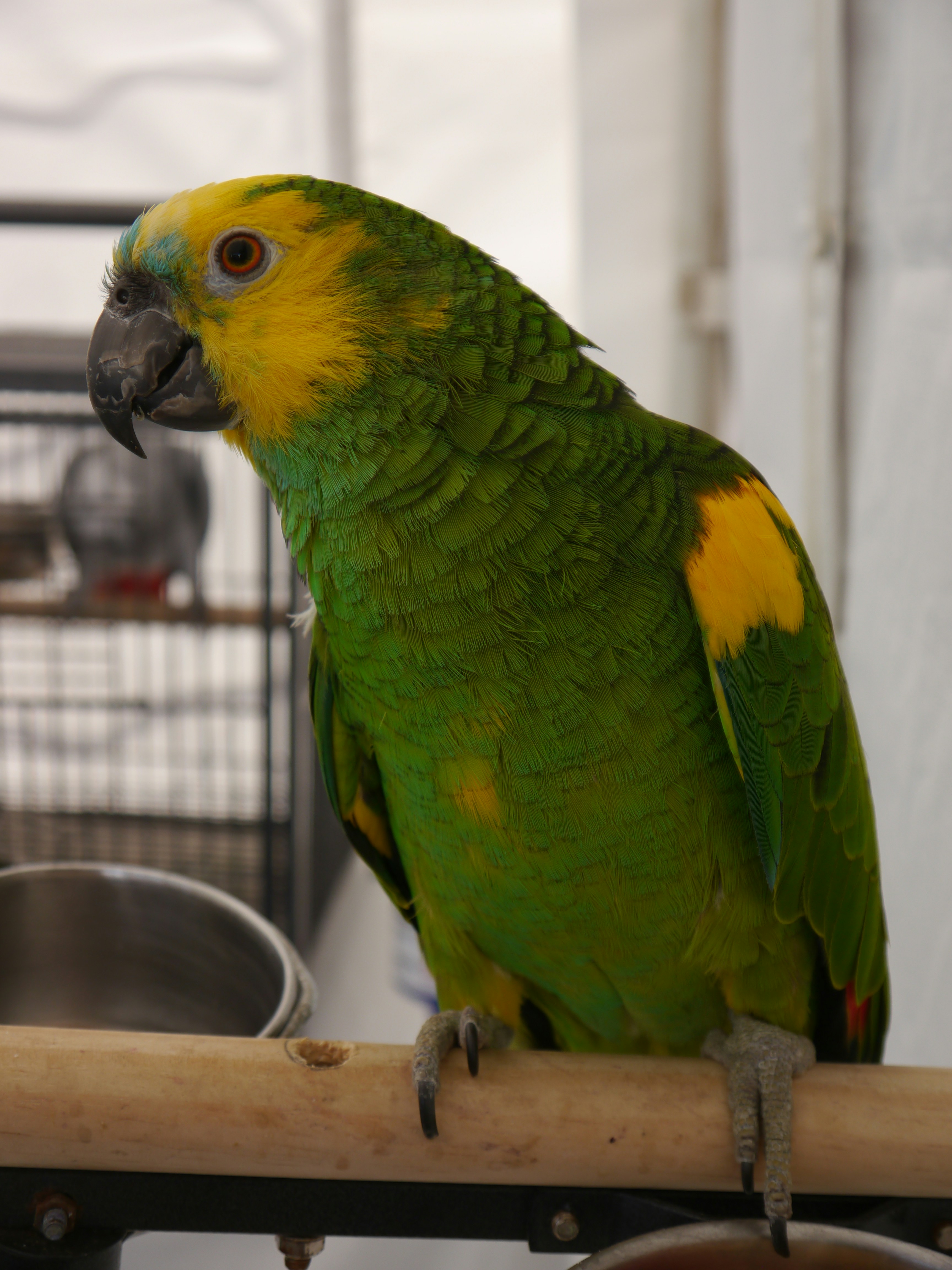 Photo by iqsphotography