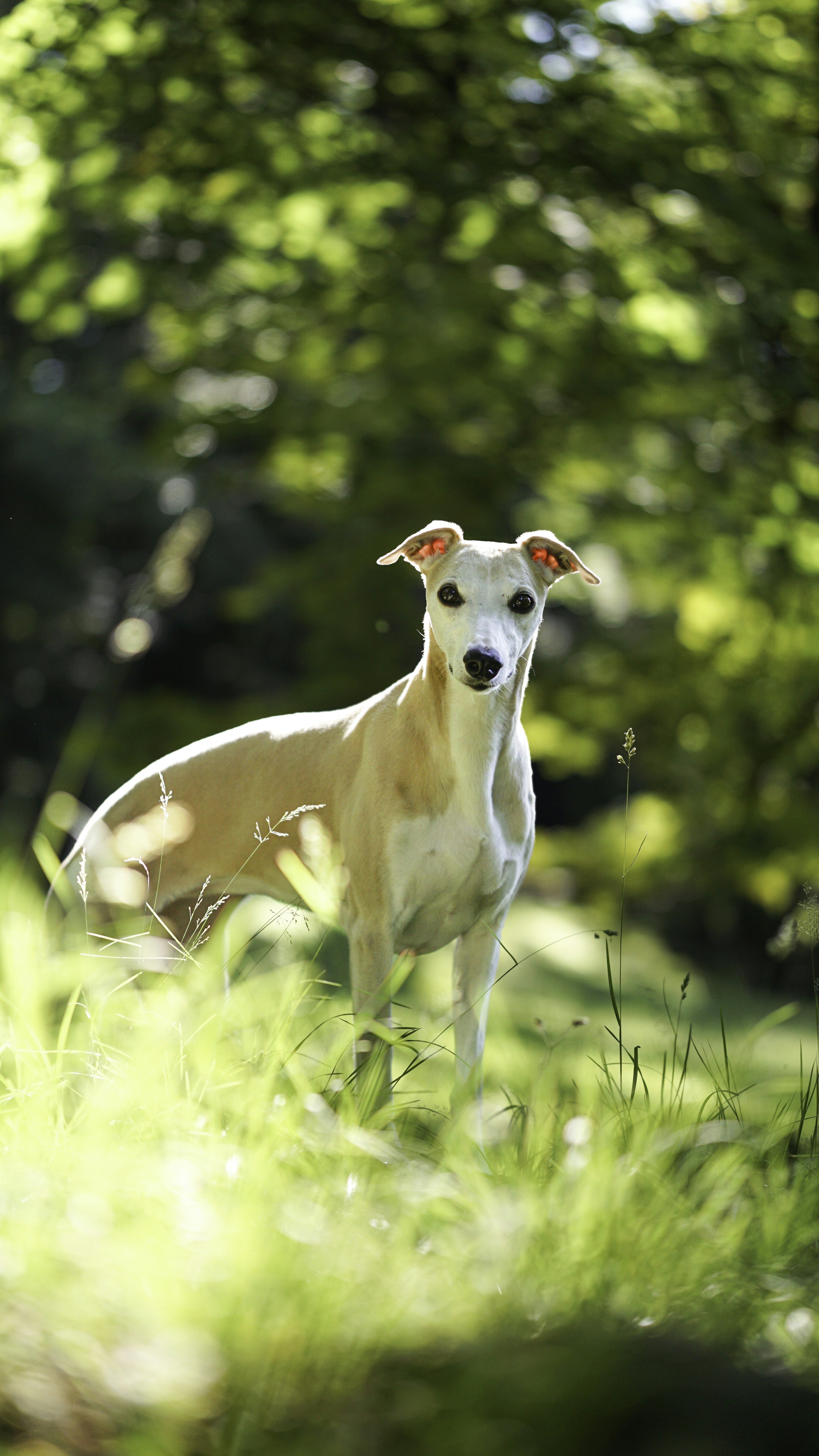 Photo by annadudkova