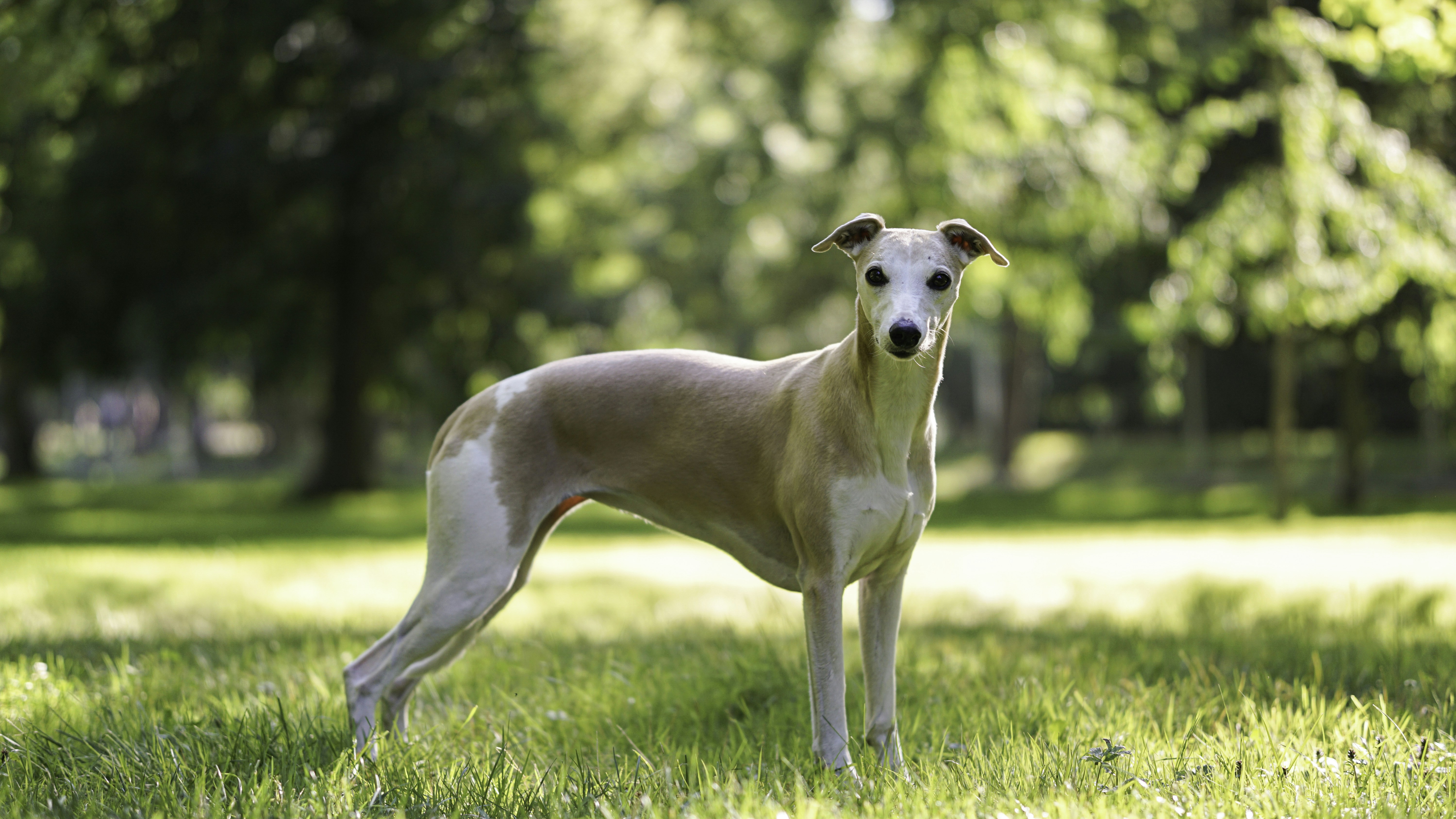 Photo by annadudkova