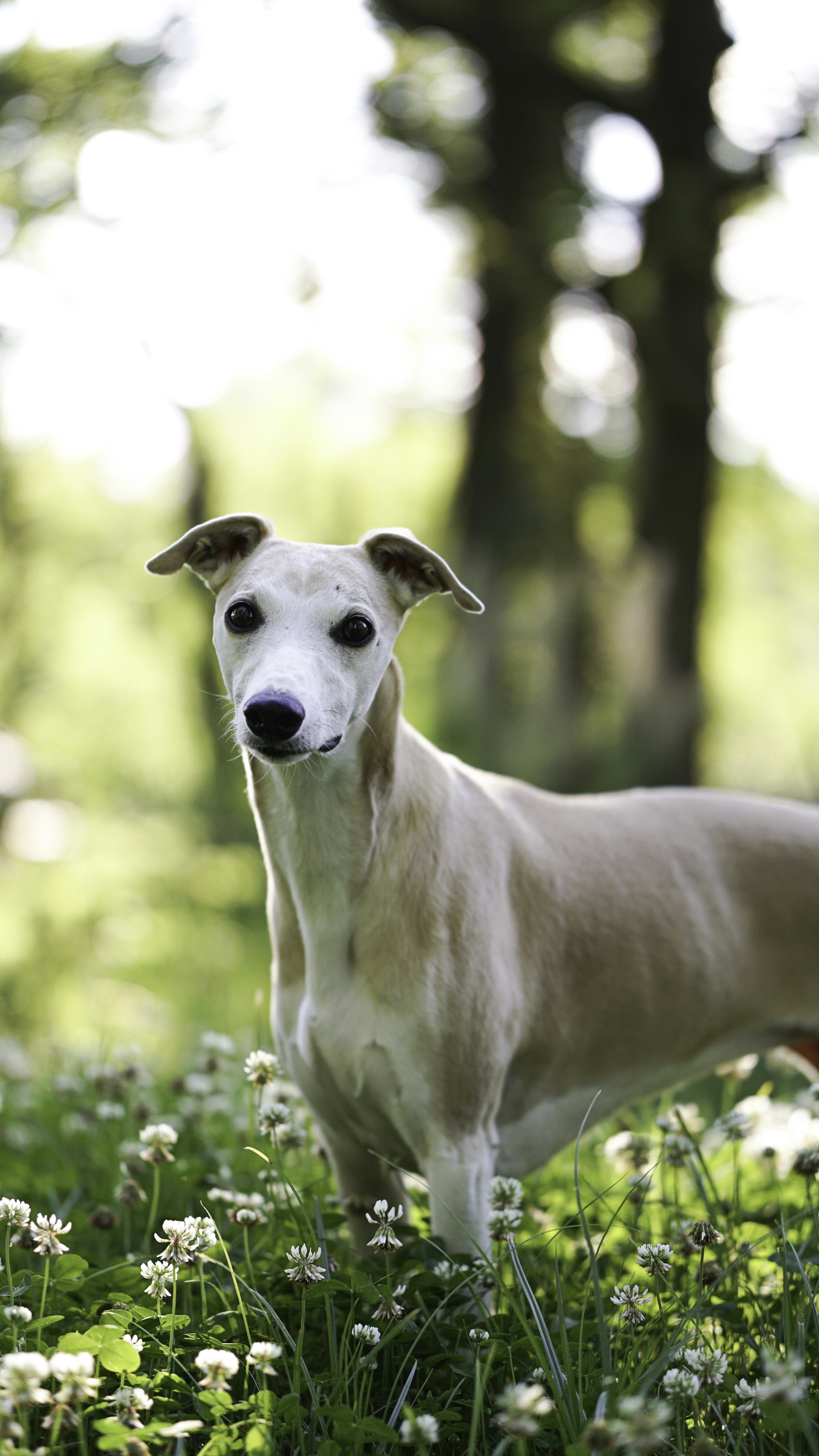 Photo by annadudkova