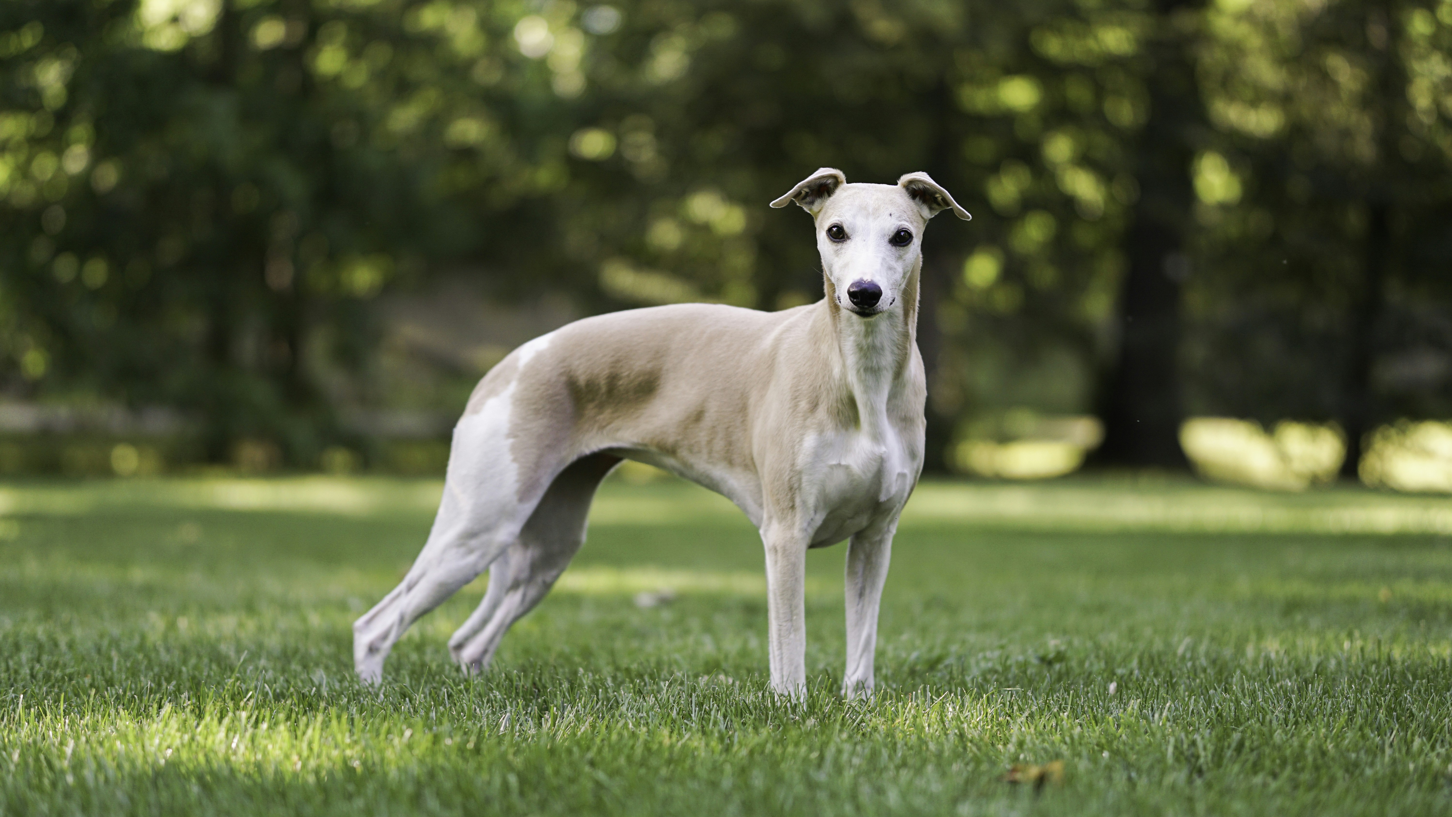 Photo by annadudkova