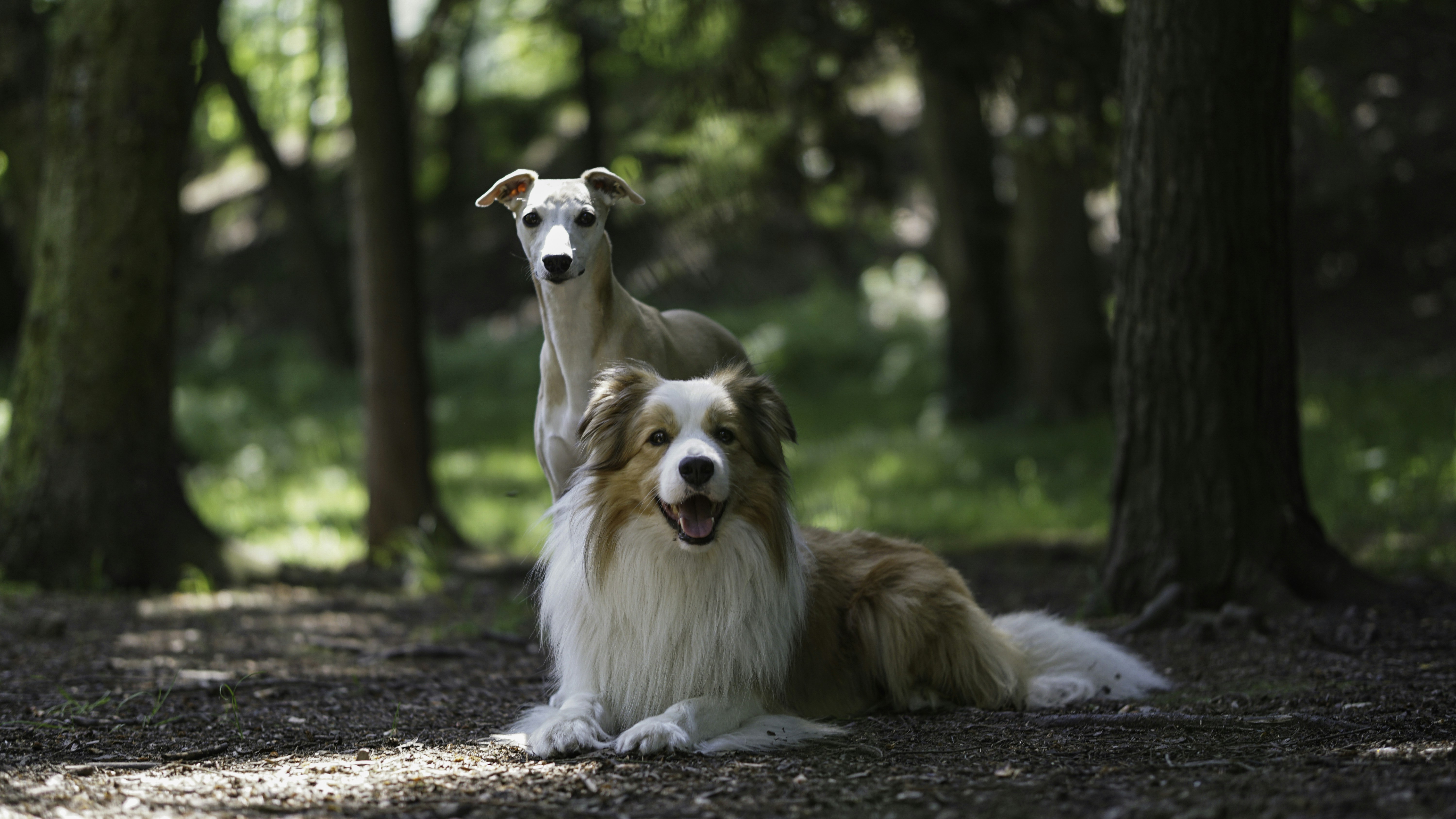 Photo by annadudkova