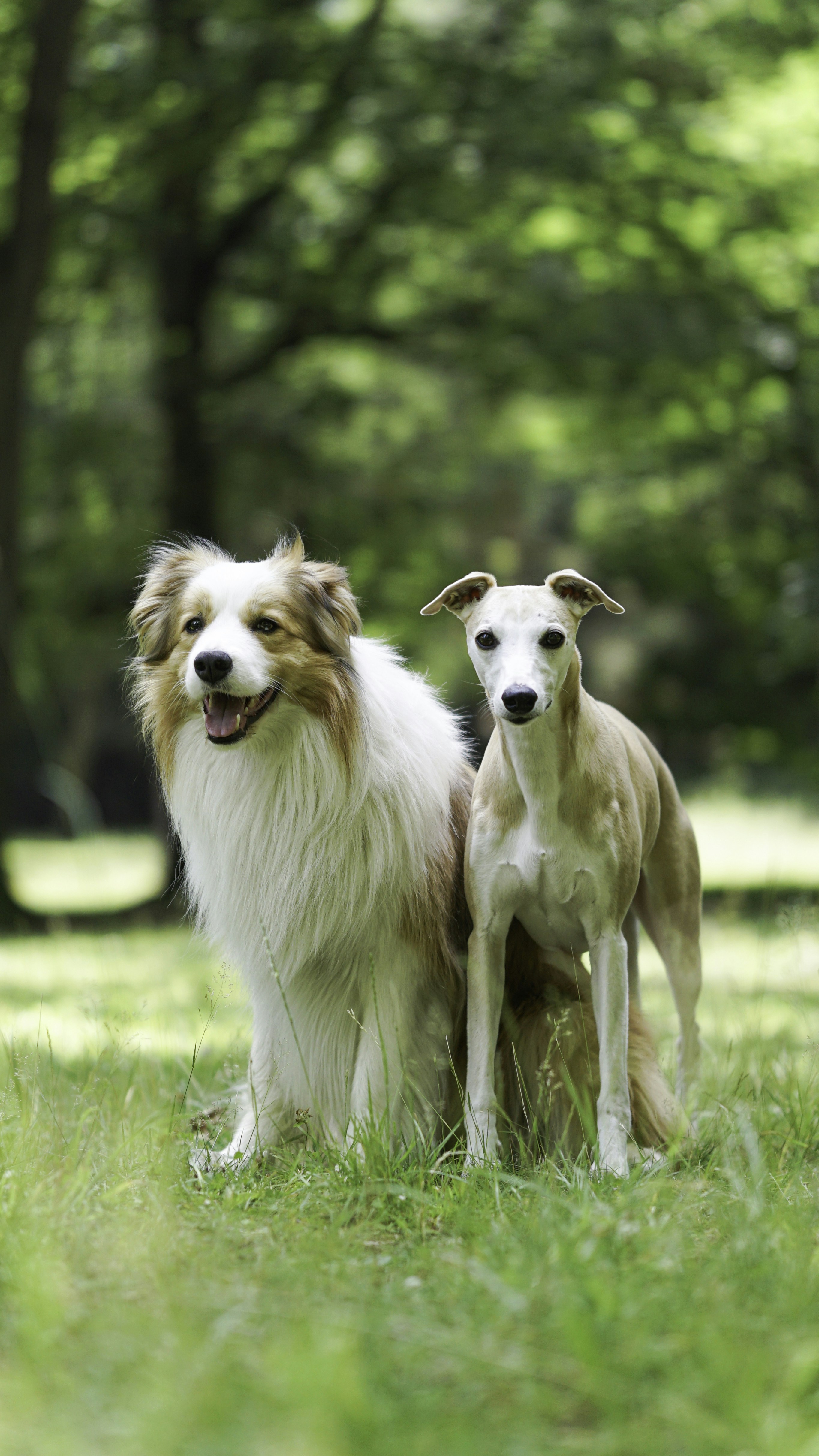 Photo by annadudkova