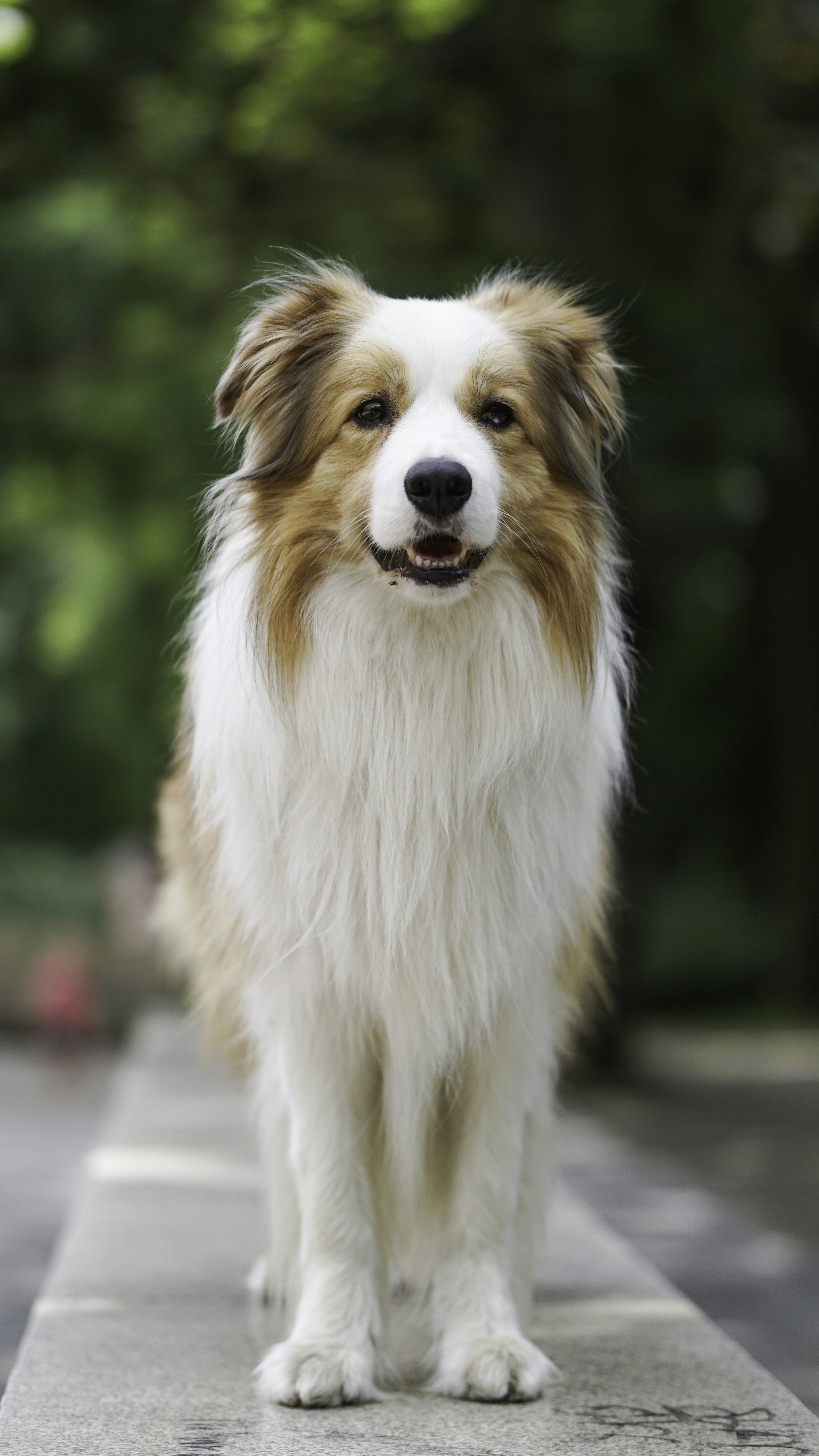 Photo by annadudkova