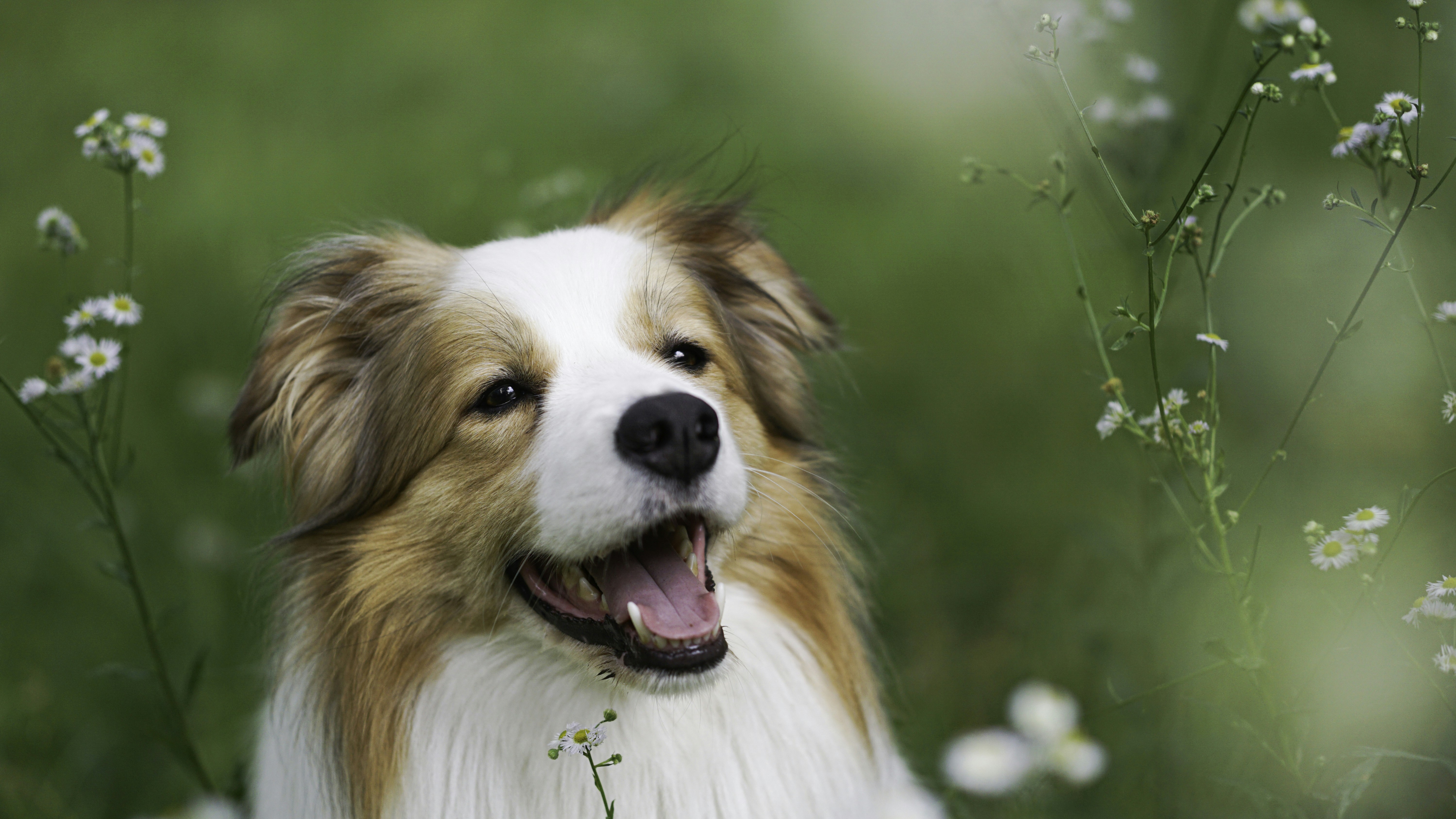 Photo by annadudkova