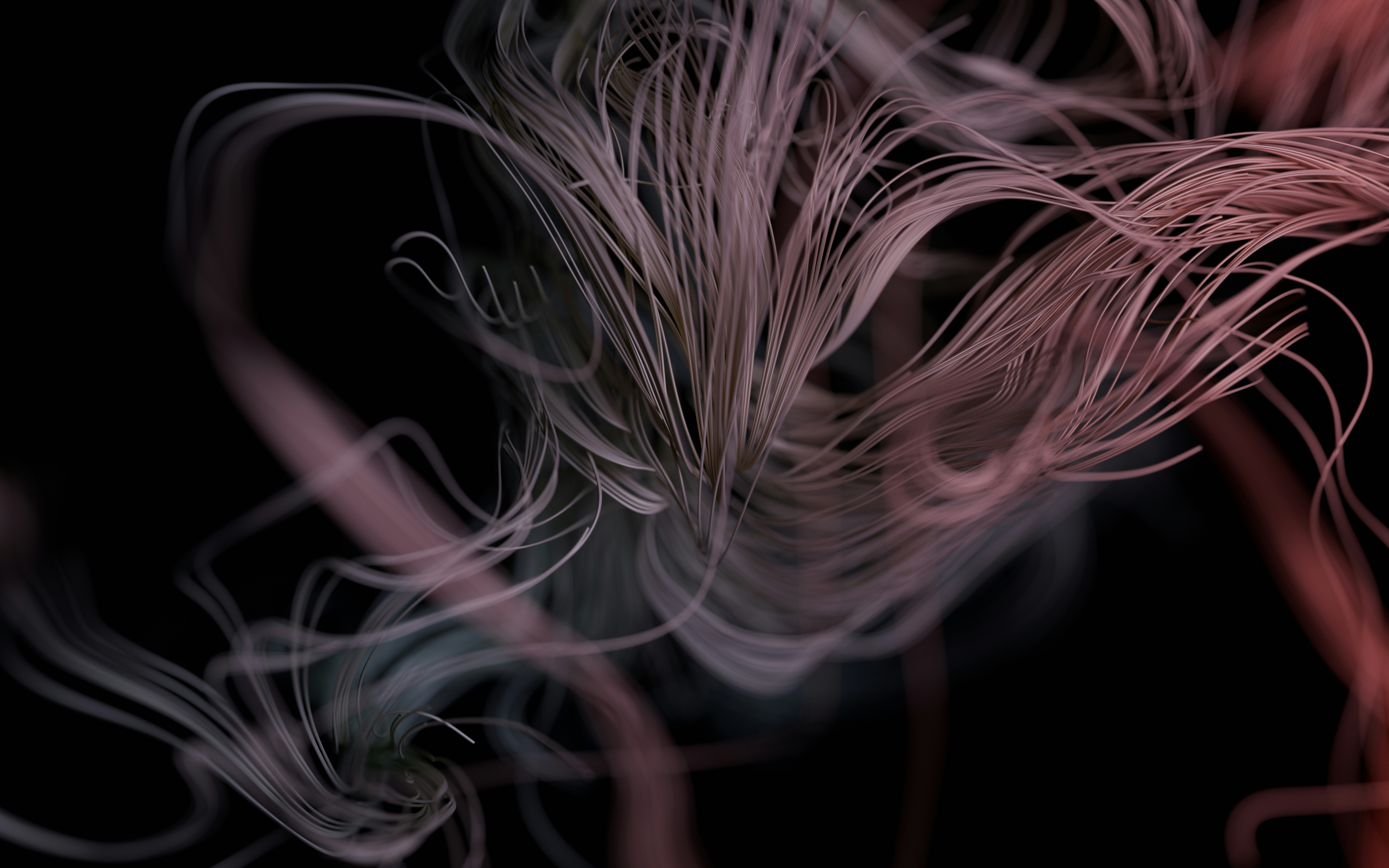 Photo by a_chosensoul