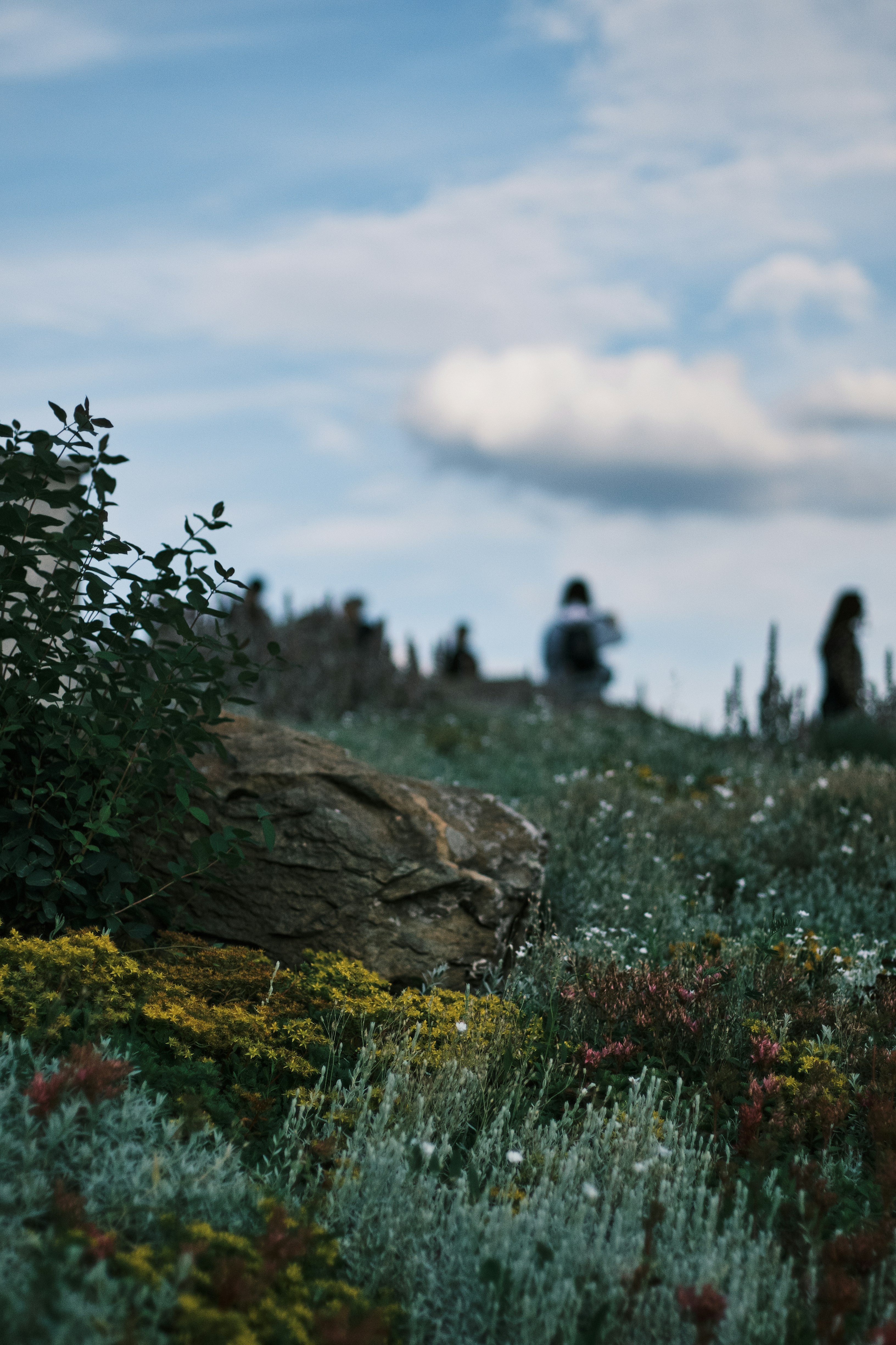 A group of people standing on top of a lush green hillside