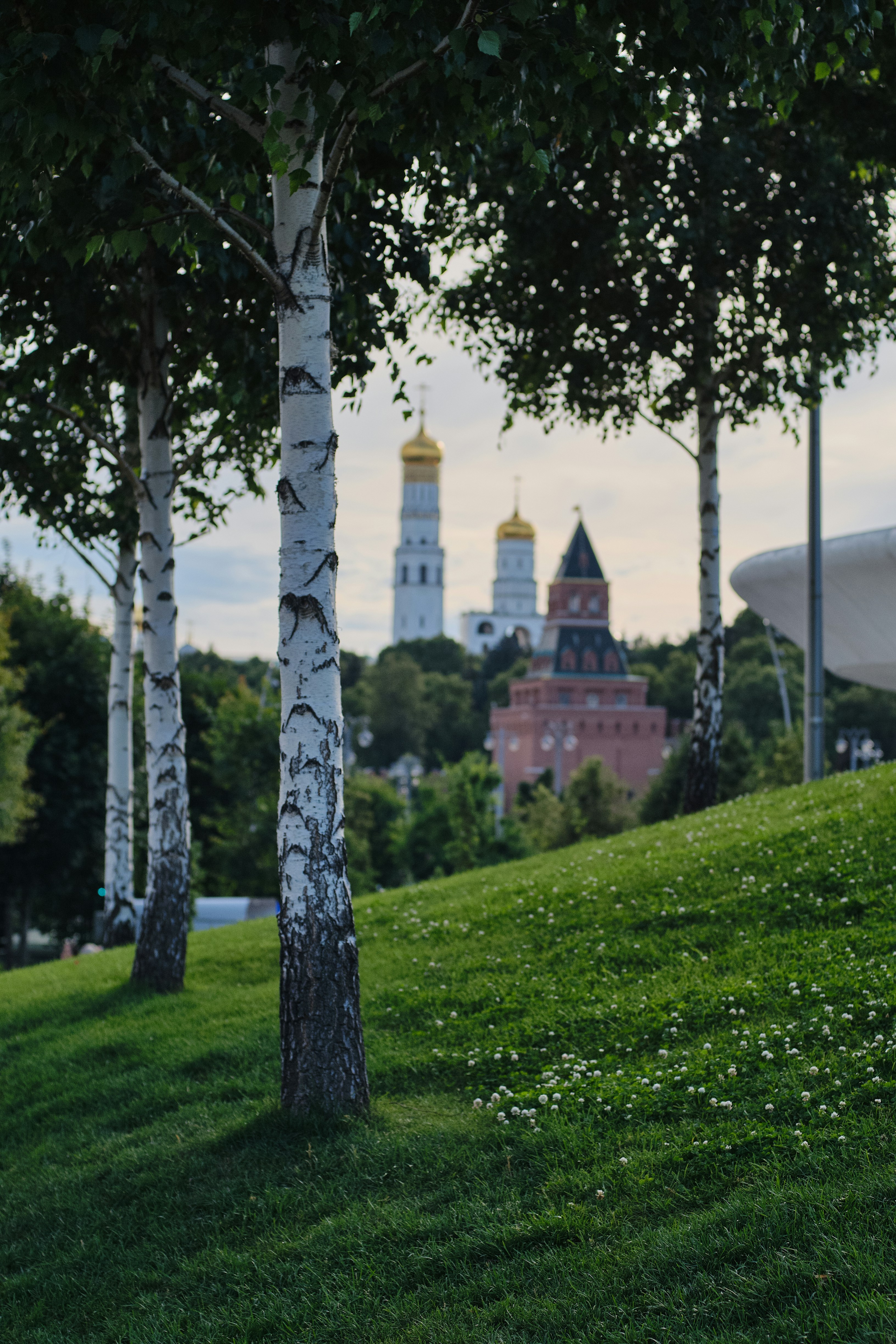 A man riding a skateboard down a lush green hillside