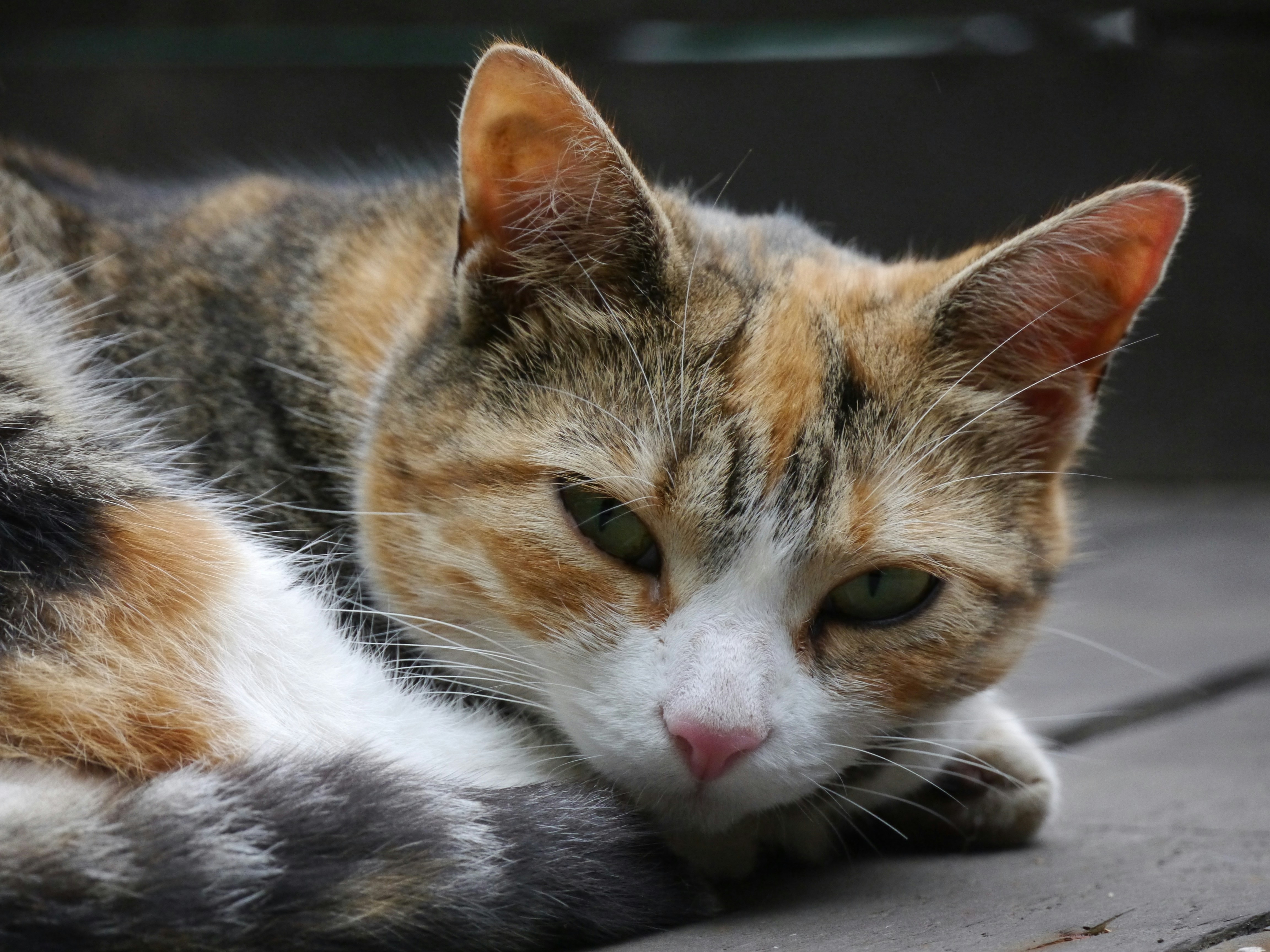 Photo by iqsphotography