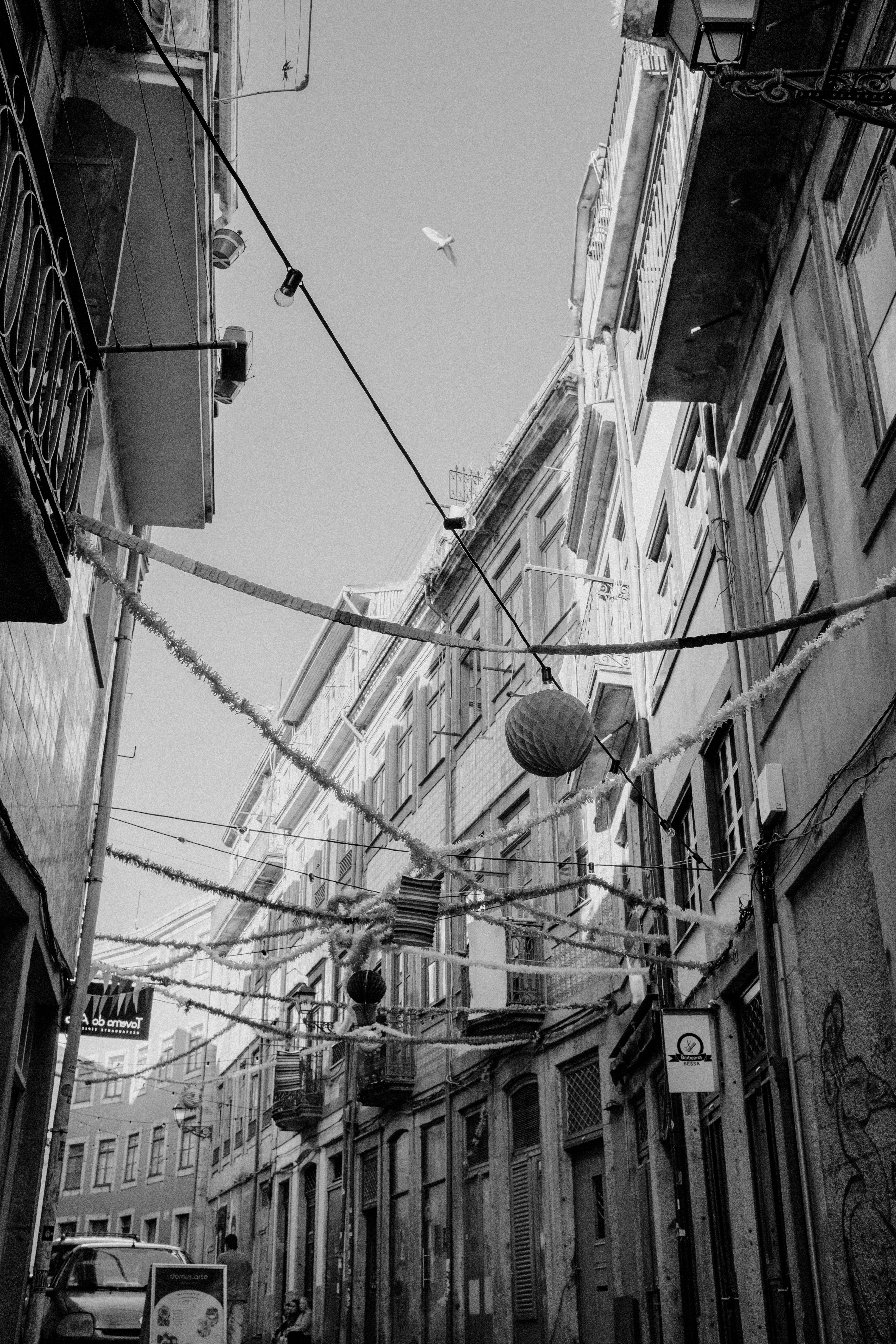 Photo by anniespratt