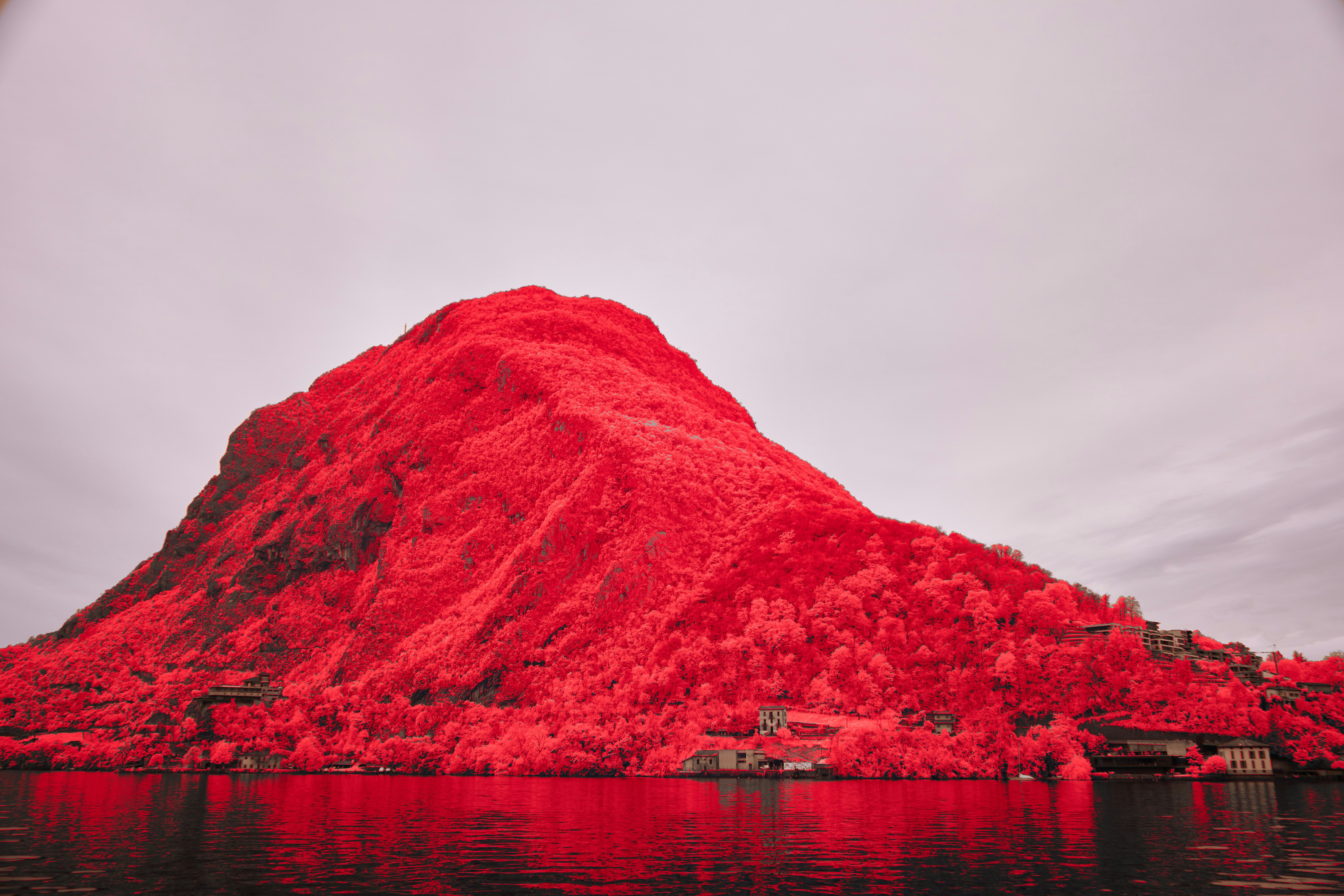 Photo by wolfgang_hasselmann