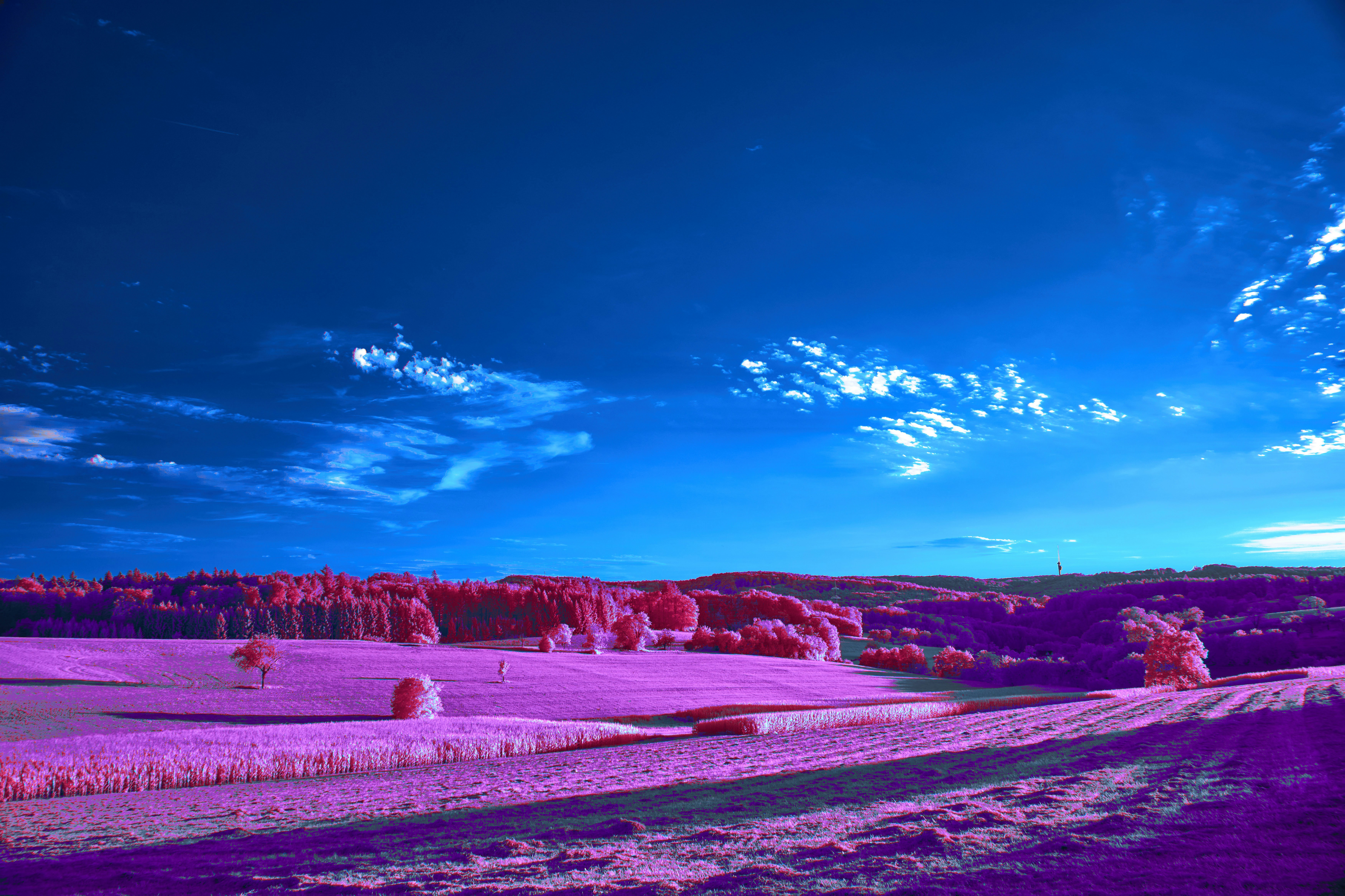 Photo by wolfgang_hasselmann