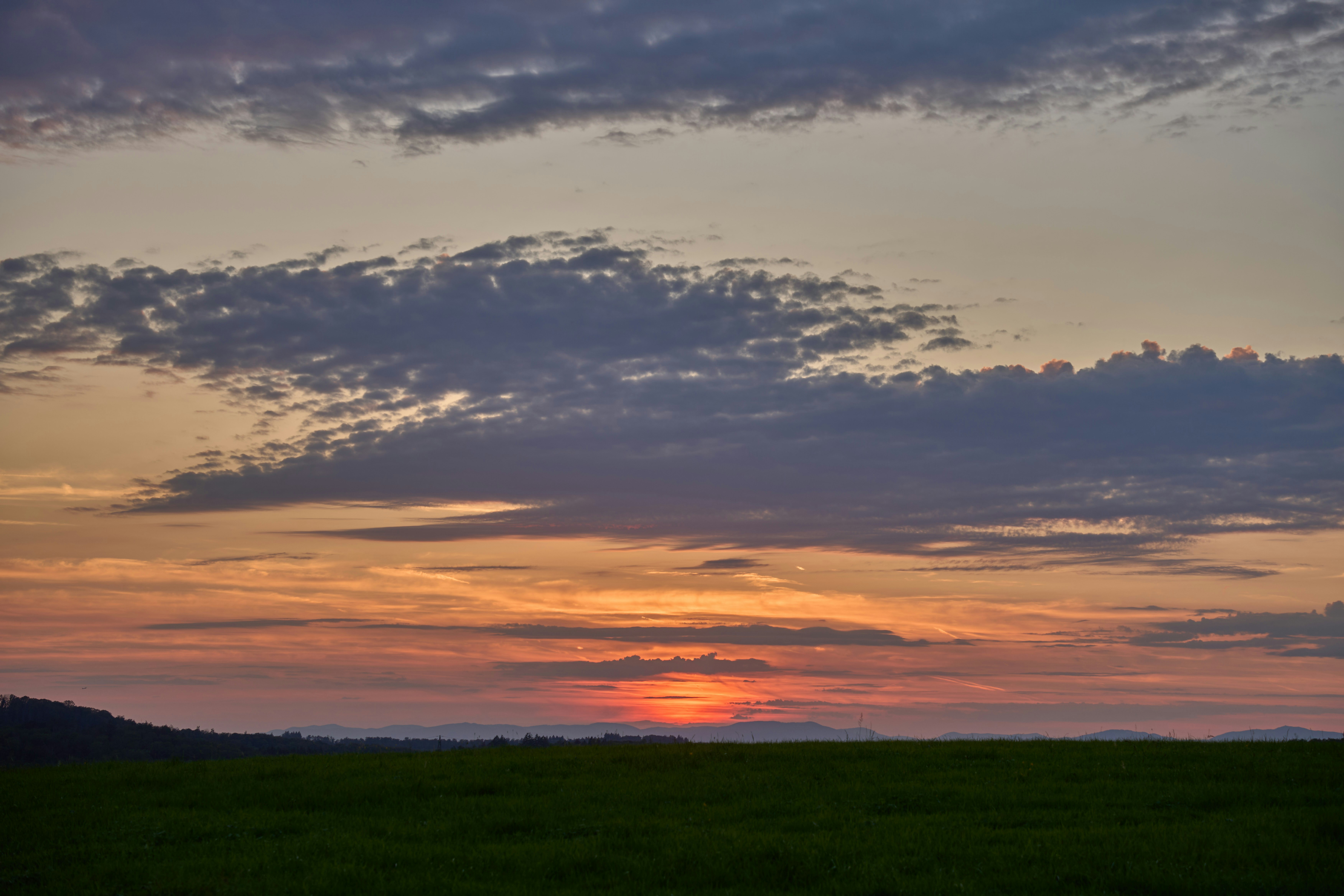 Photo by wolfgang_hasselmann