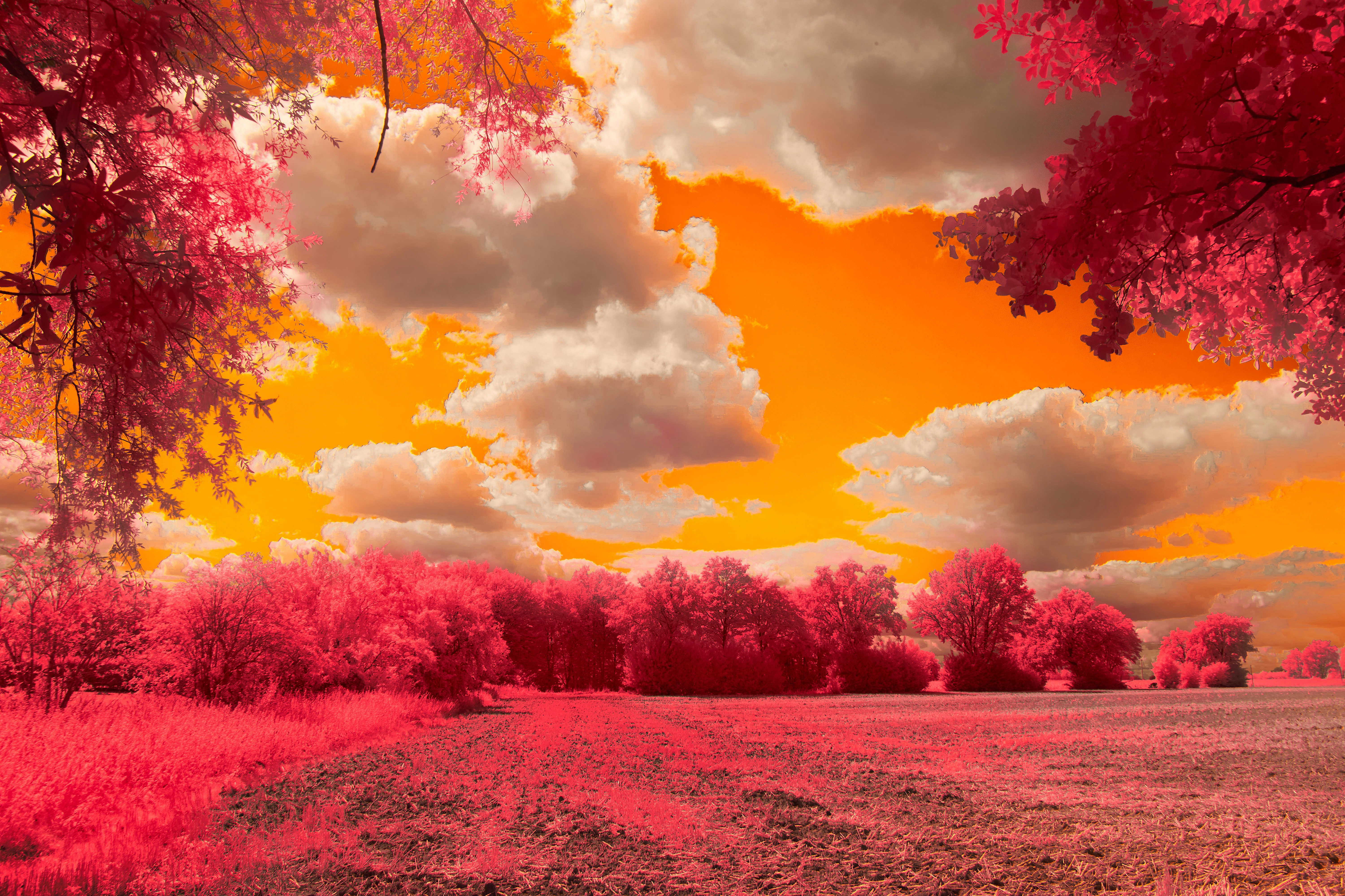 Photo by wolfgang_hasselmann