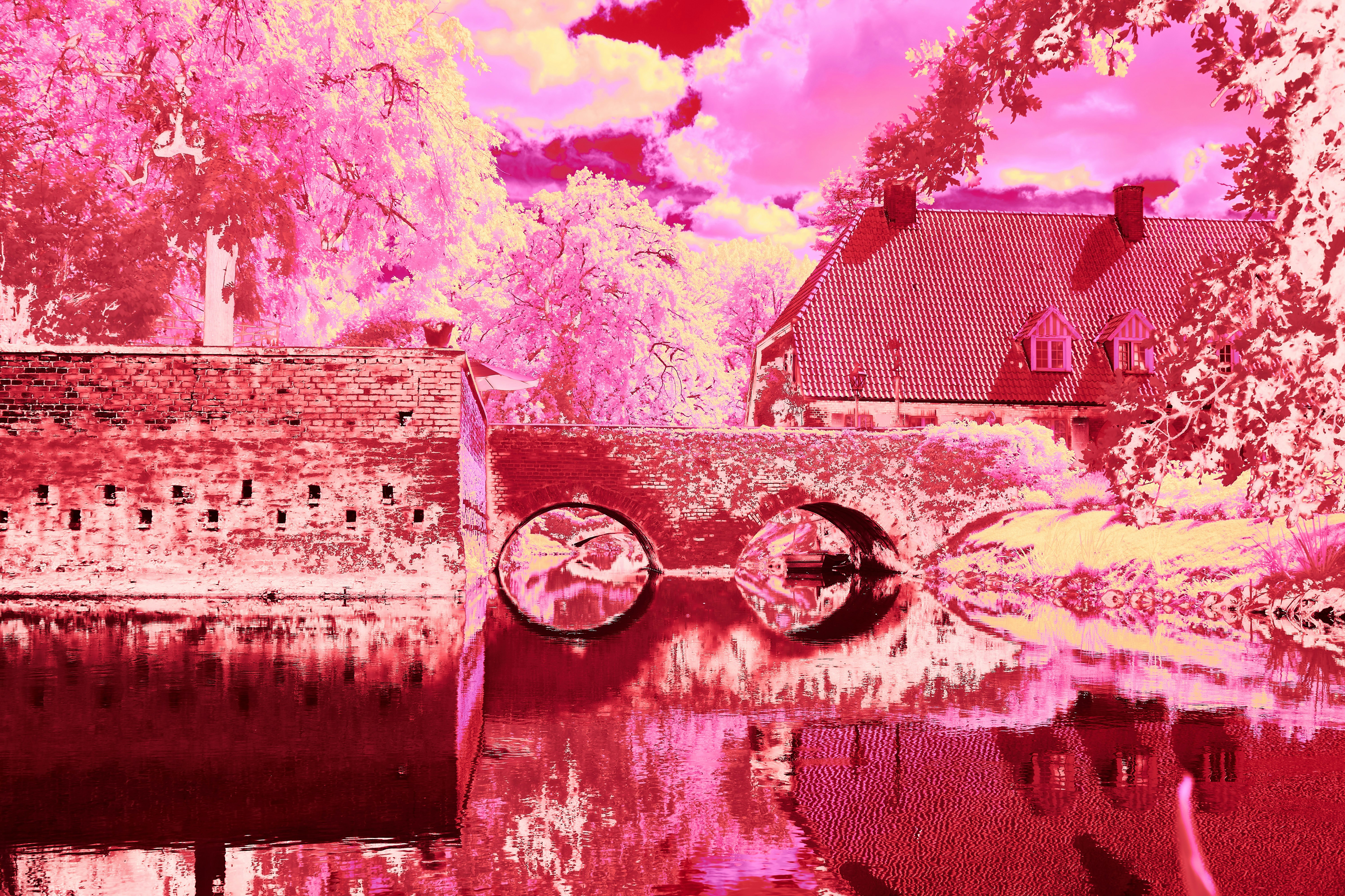 Photo by wolfgang_hasselmann