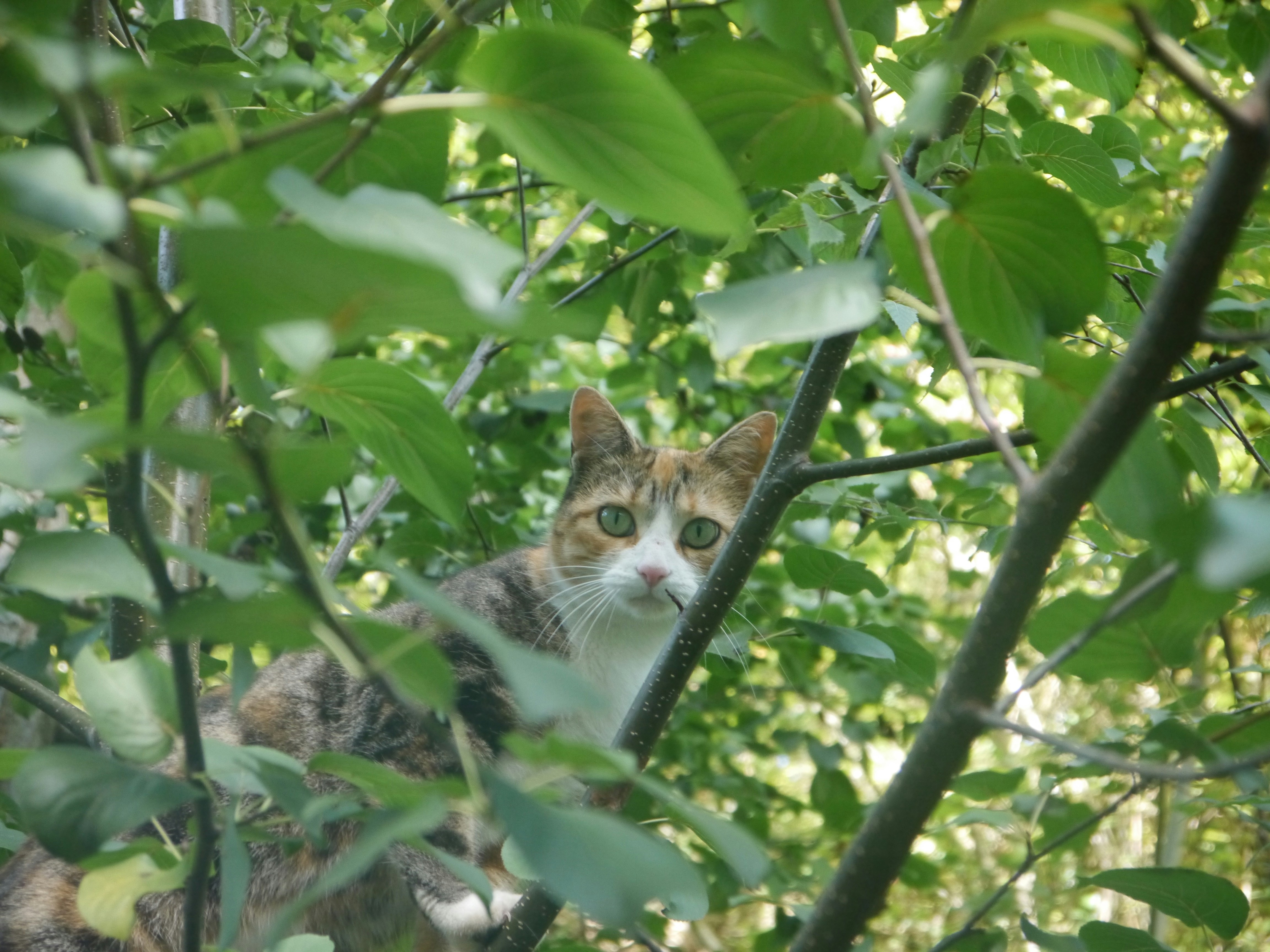 Photo by iqsphotography