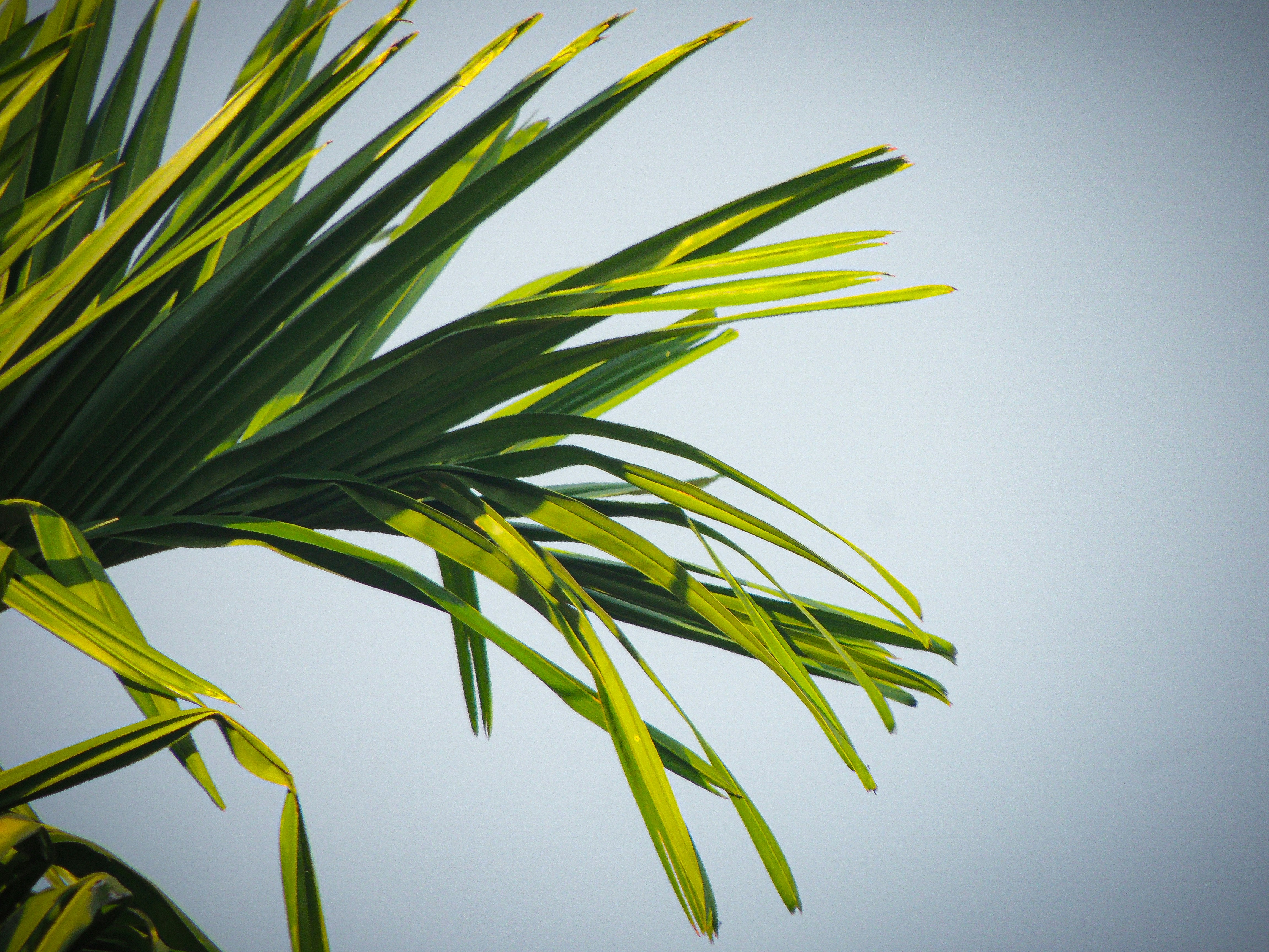 Photo by neelmoon1314