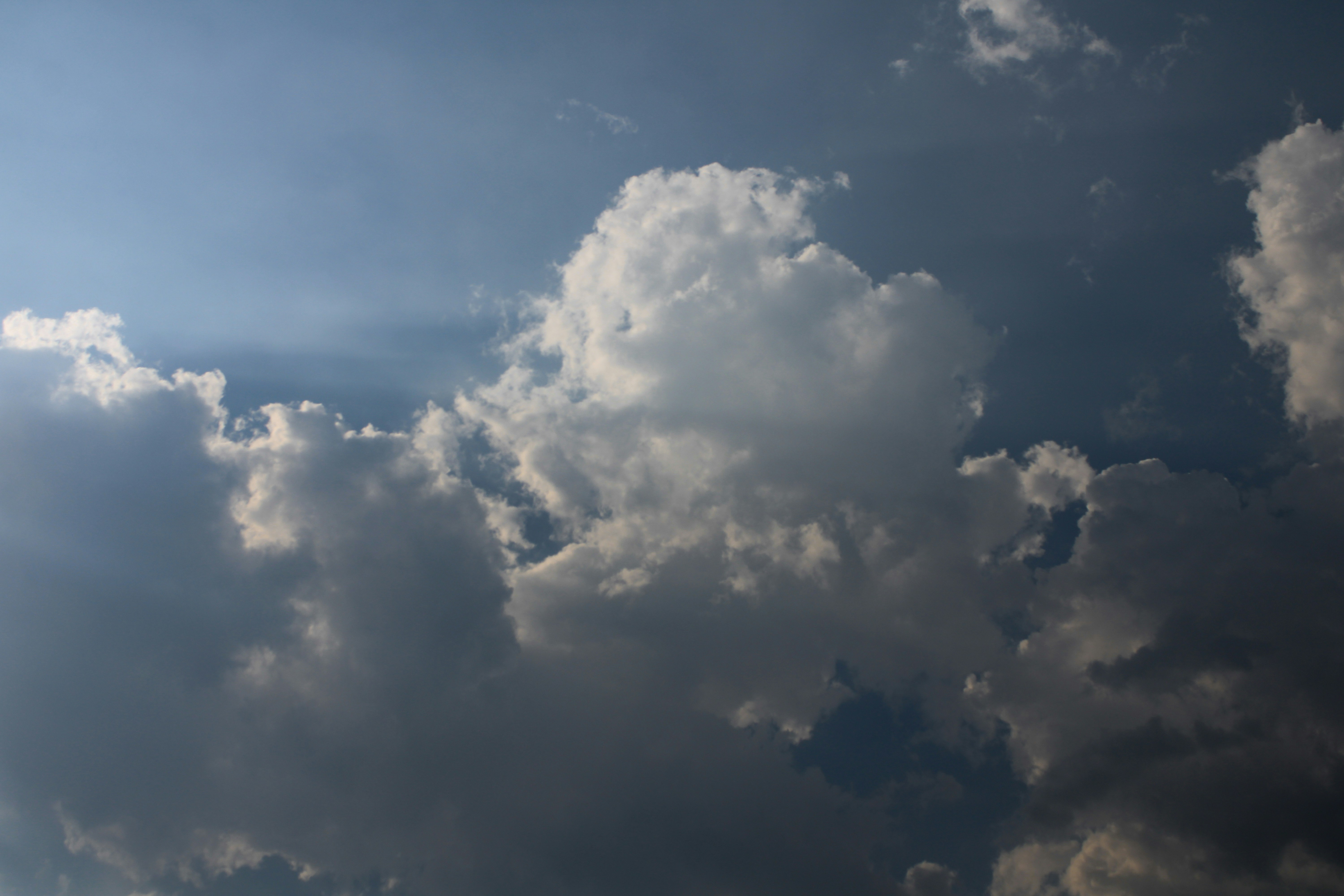 Photo by neelmoon1314