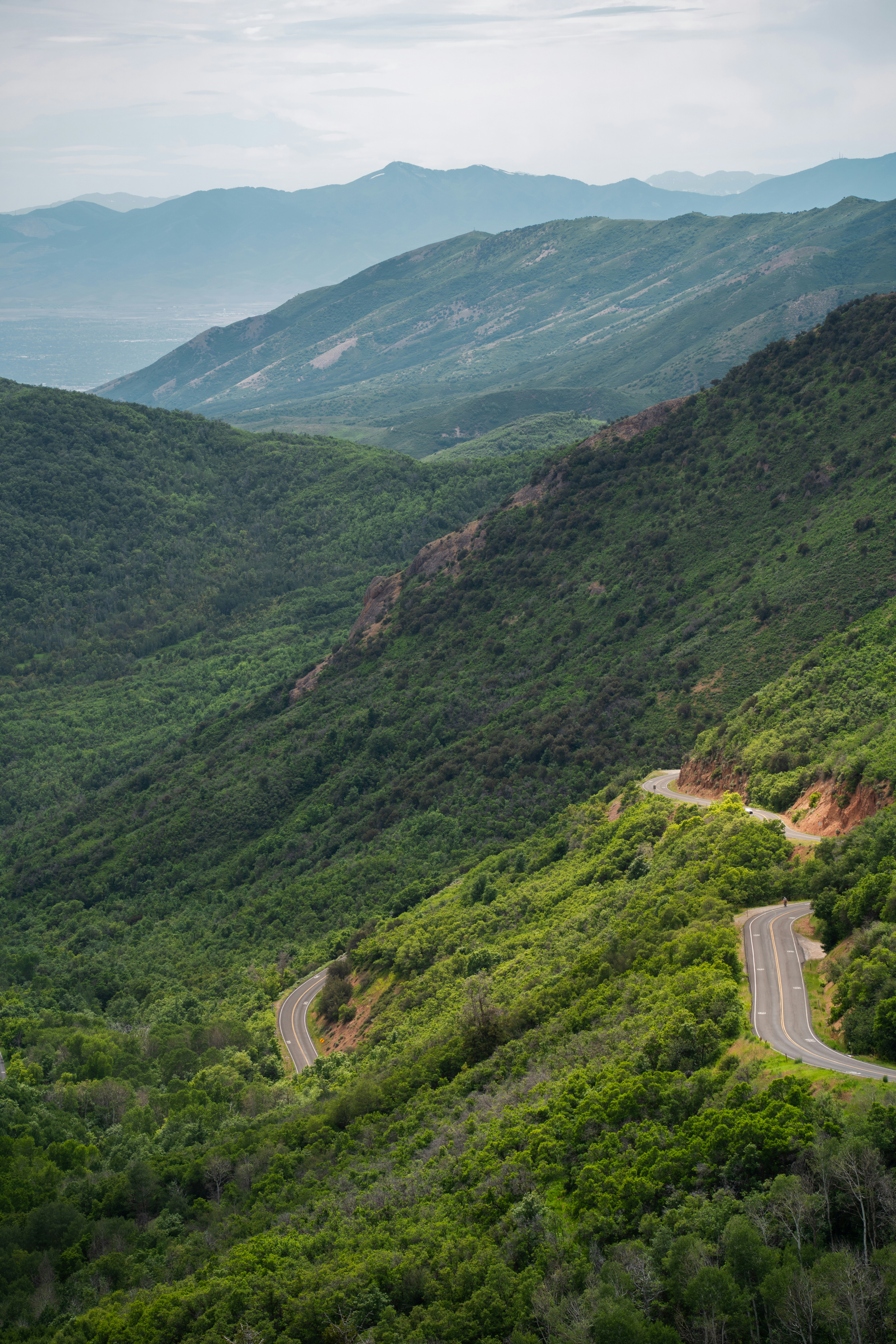 Photo by alexmoliski